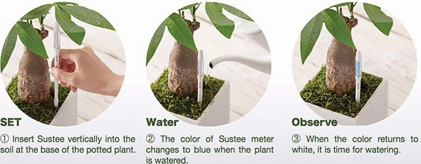 IPPINKA Sustee Aquameter, juego de 4, sensor de humedad del suelo para plantas, (blanco, mediano)