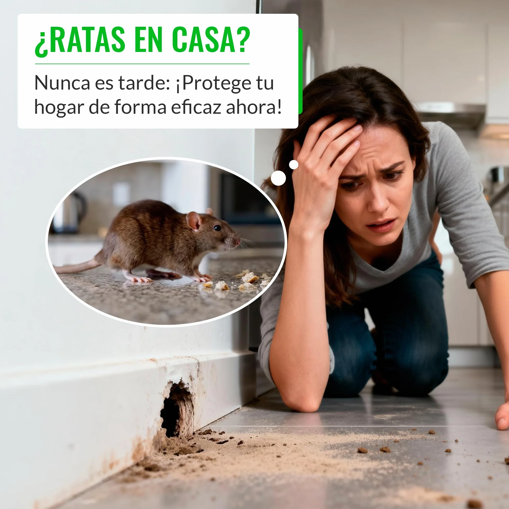 Mice&Co 2 Estaciones de Cebo para Ratas y Ratones - Trampas para Ratas y Ratones Profesionales | Caja Portacebos Veneno - Caja de Cebo Eficaz Raticida Interior y Exterior