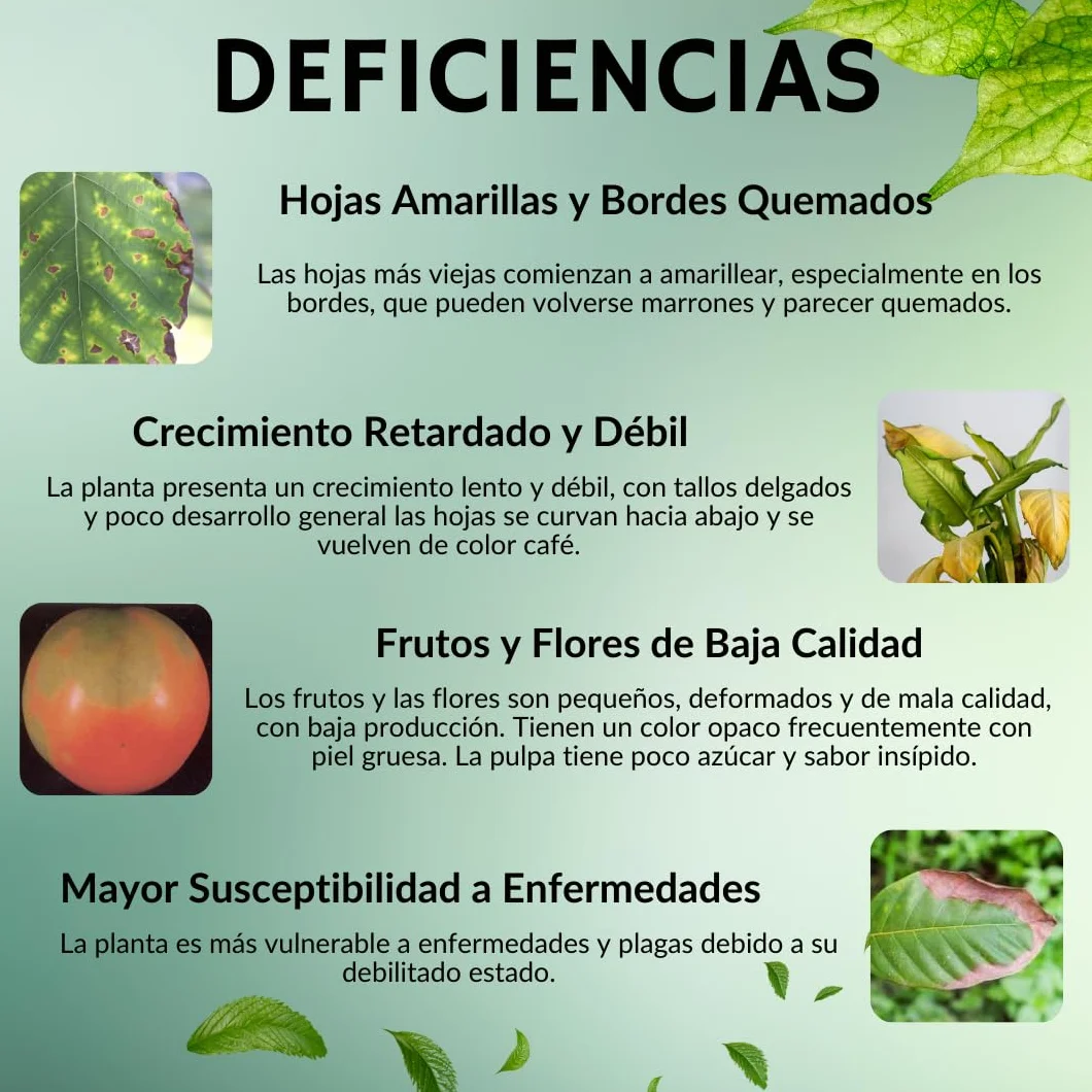 Sulfato Potásico para Jardín y Huerto - Fertilizante de Potásio y Azufre para todo tipo de Plantas Mejora Crecimiento y Producción, Nutriente esencial 1KG