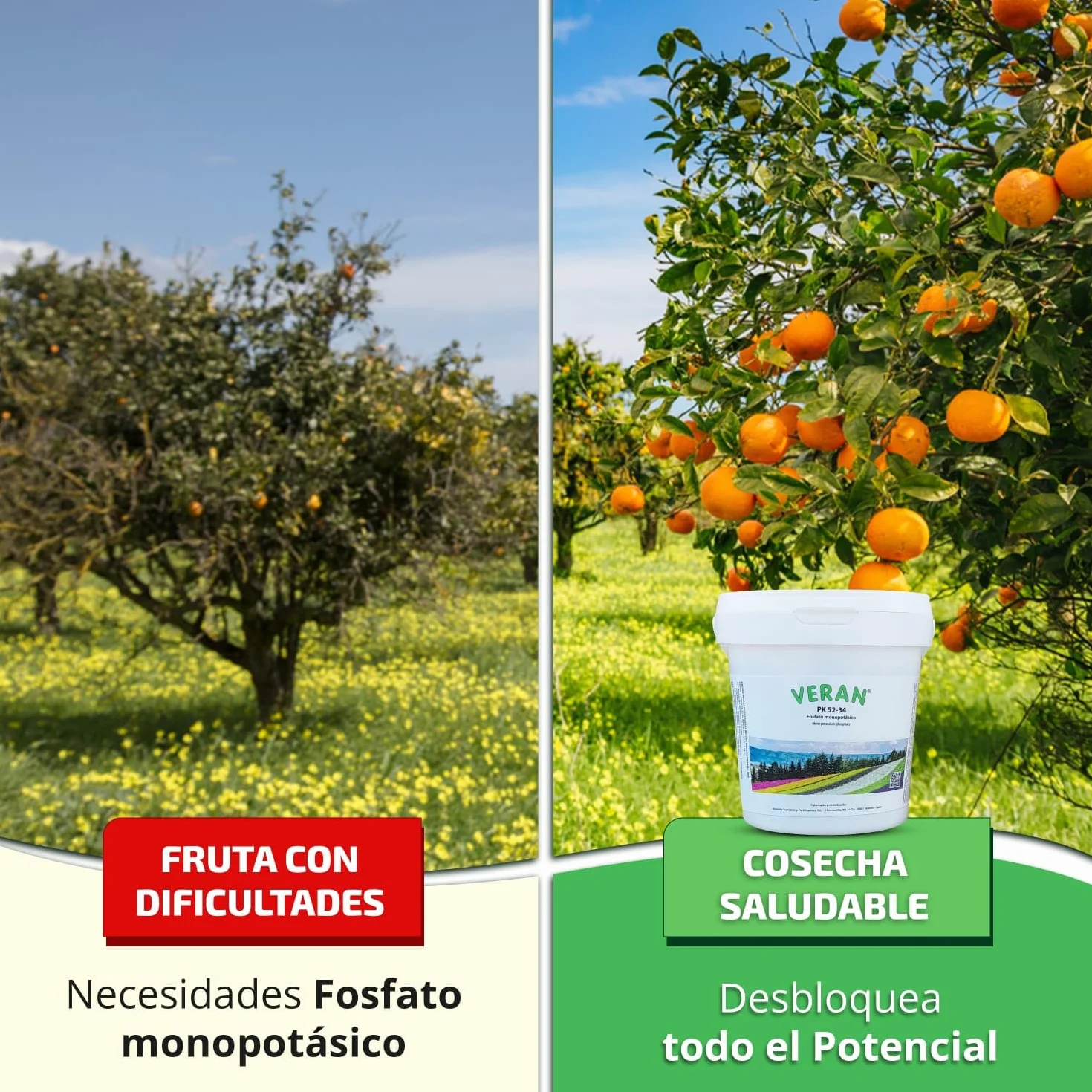VERAN | Fertilizante Plantas de Flor, Citricos y Huerto PK52-34 | 1KG | Estimula el Crecimiento y el Florecimiento | Hidrosoluble Cristalino Monopotasico + Fosforo | Abono de Fosforo y Potasio