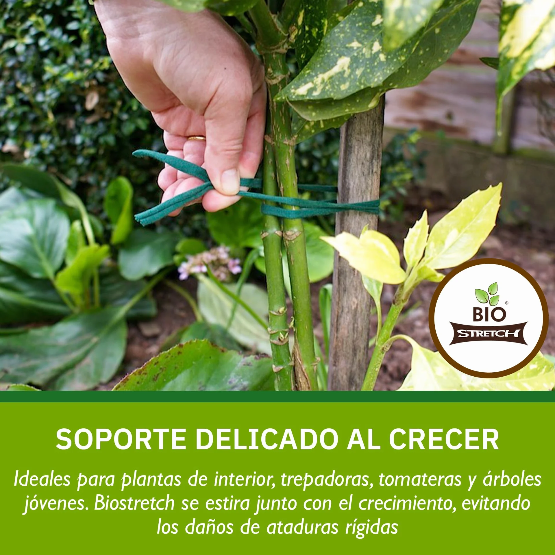 Bio-Stretch Cintas de Jardín Suaves para Plantas de Interior y Exterior – Resistentes y Elásticas, Cortables a Medida, para Plantas Trepadoras, Tomates y Jardinería en Casa (20m / Verde)