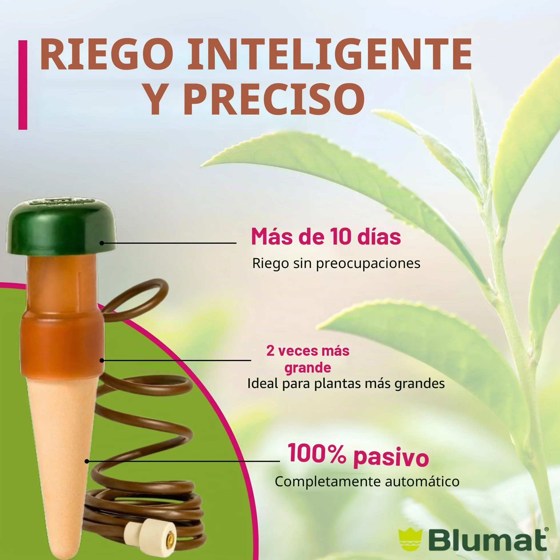 BLUMAT 10520 Junior Automático Planta Riego, XL, 2 Unidades