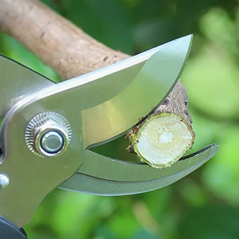 Cortador de injerto de trinquete de árbol, Tijeras de podar, Cortador de jardín, Herramientas para bonsái, podadora de Mano Profesional, Tijera Antideslizante