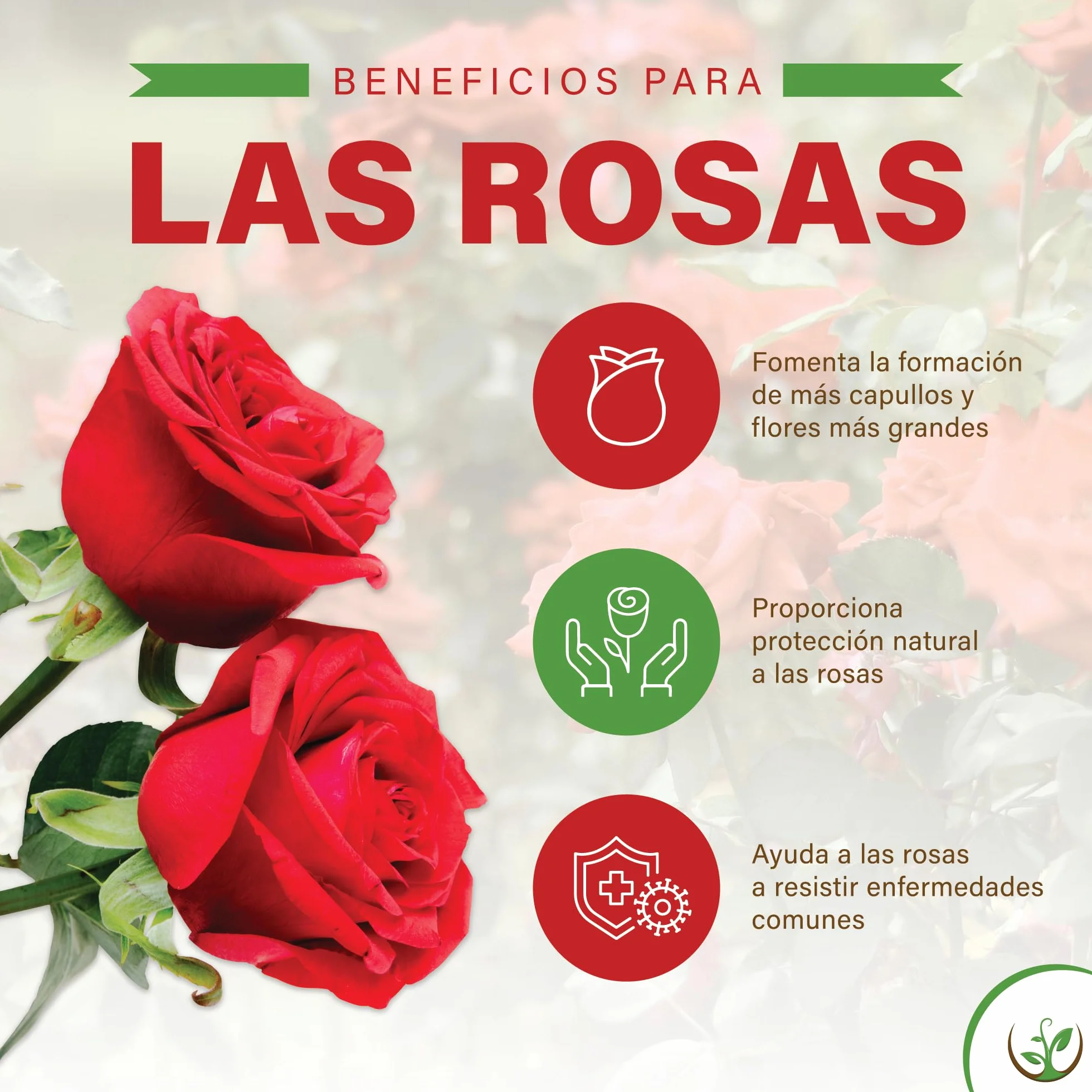Fertilizante Microbiológico Hortulani para Rosales - con Potentes Microorganismos para Jardines en Flor - ¡Transforma tu Suelo, Cultiva el Éxito! (500 g por 5-10 rosas)