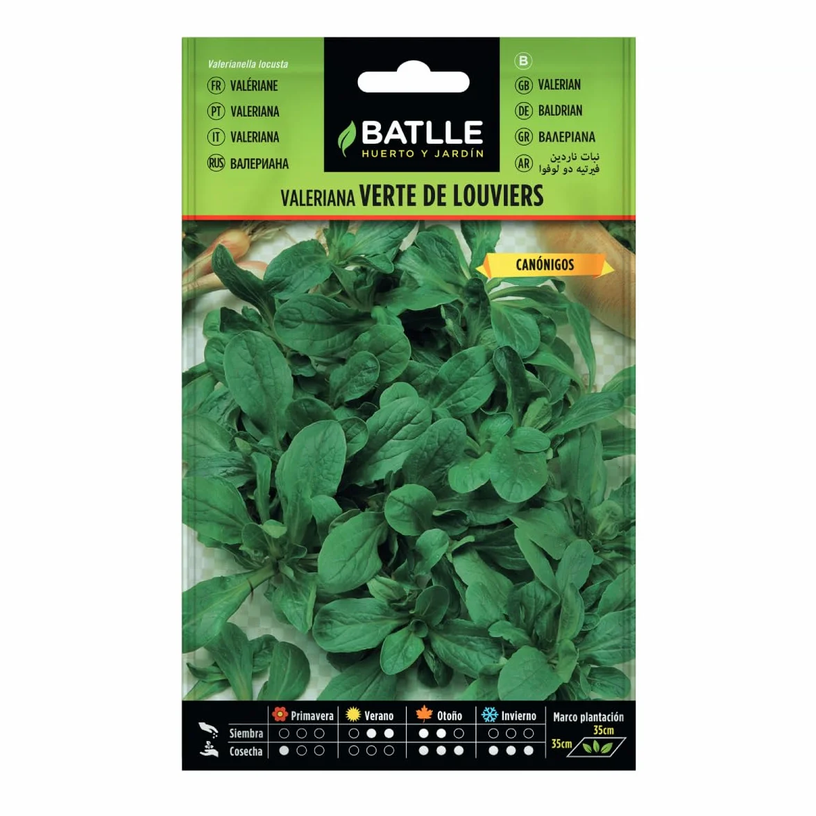 Semillas Aromáticas - Valeriana Verte de Louviers - Batlle