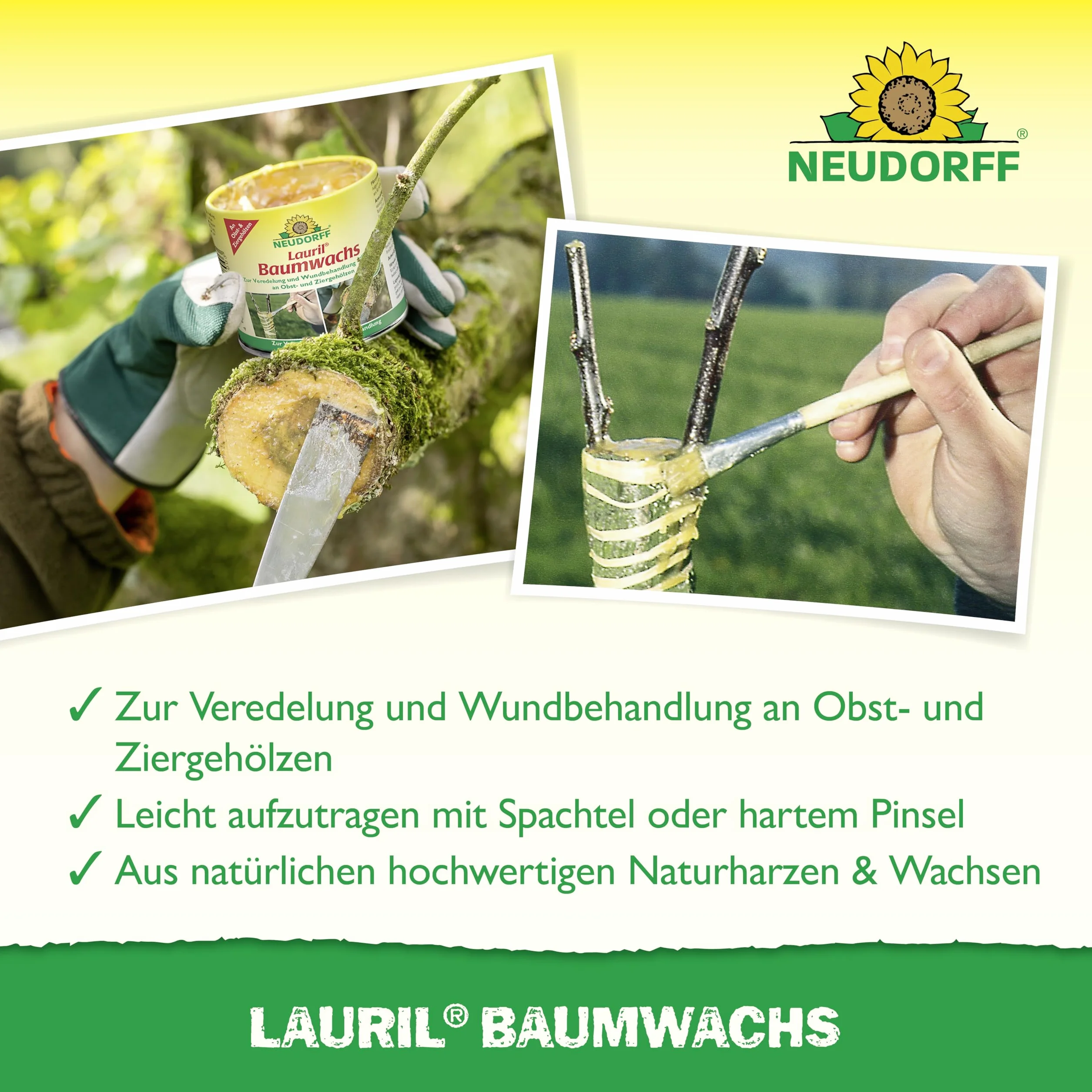 Neudorff Lauril - Cera para árboles lista para usar, cierre de herida para refinar y cicatrizar rápidamente las heridas de frutas y árboles ornamentales, 125 g