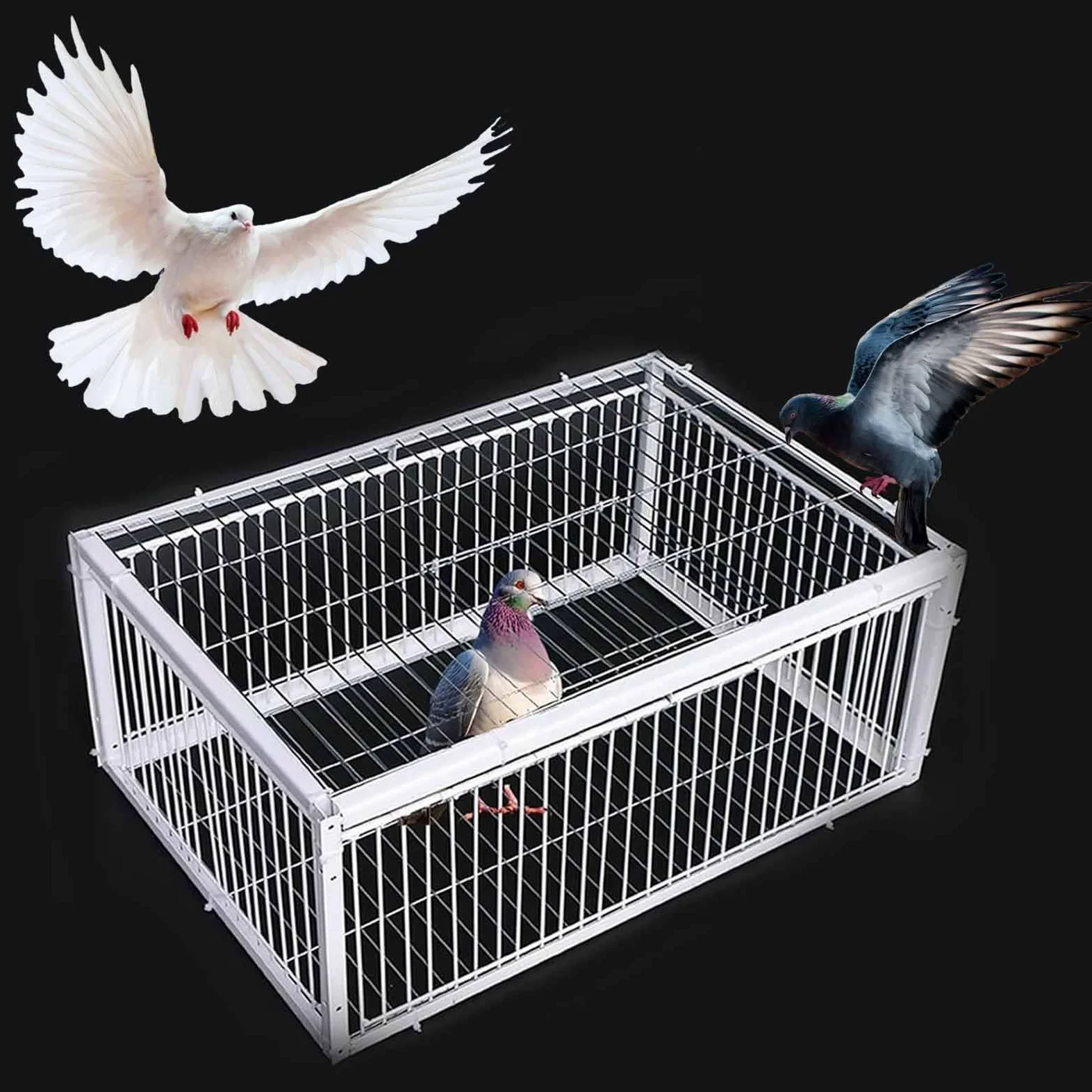 Trampa para Pájaros Jaula Trampa Cuatro entradas Trampa para Palomas con tragaluces diseño antiescape Apto para Palomas Loros Cuervos pájaros(60x40x26cm)