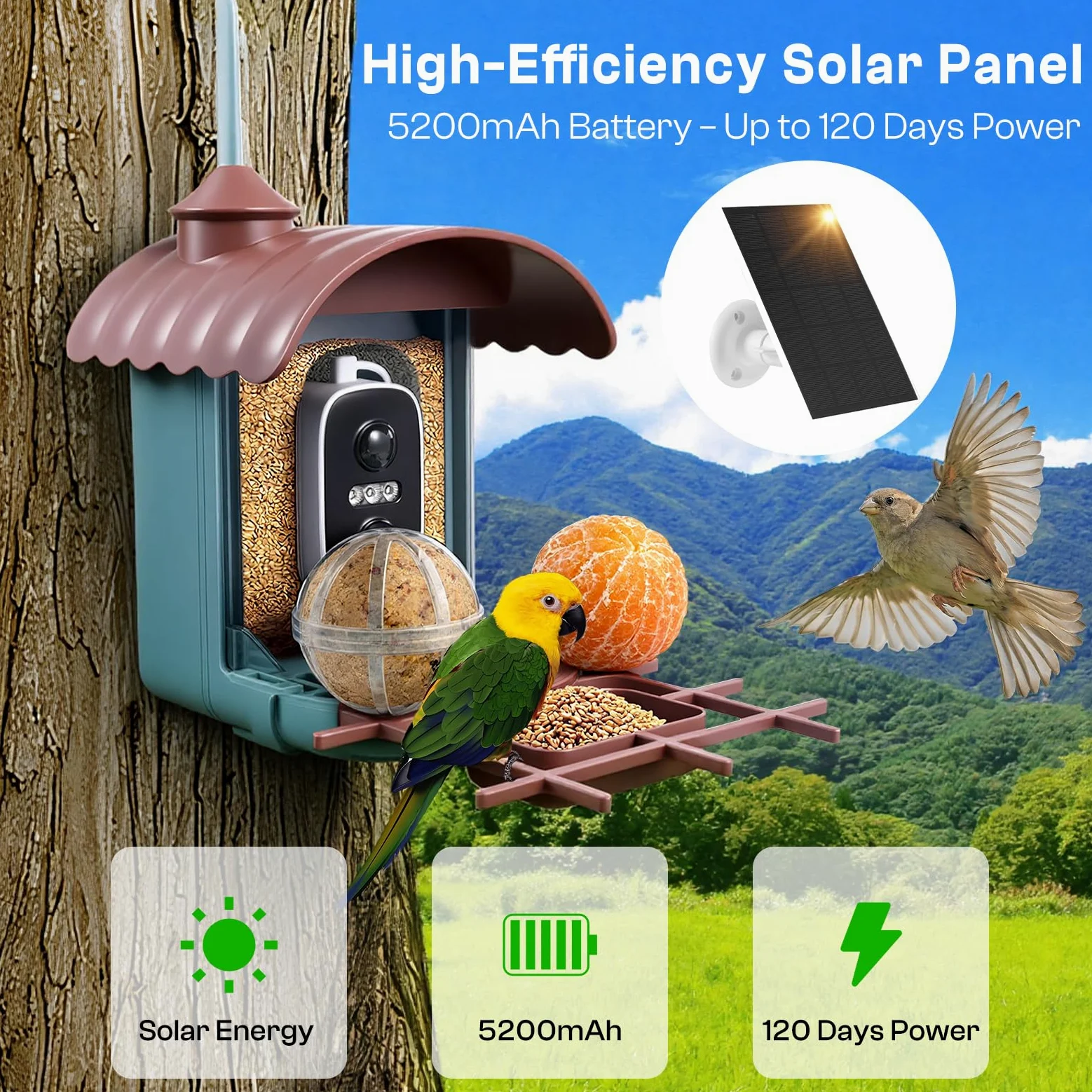 Pajarera con cámara de 4 MP, comedero solar para pájaros y comedero: vídeo/toma de fotos, identificación de IA, detección de movimiento, notificación instantánea, visión nocturna, WiFi de 2,4 GHz