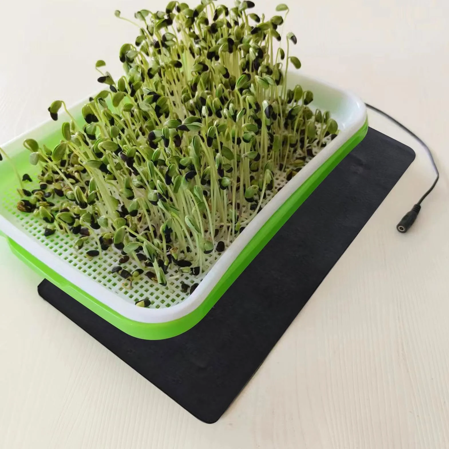 Estera de calefacción para plantas eléctricas, alfombrilla de propagación de plántulas | Esterilla térmica para germinación de plantas, almohadilla de calor