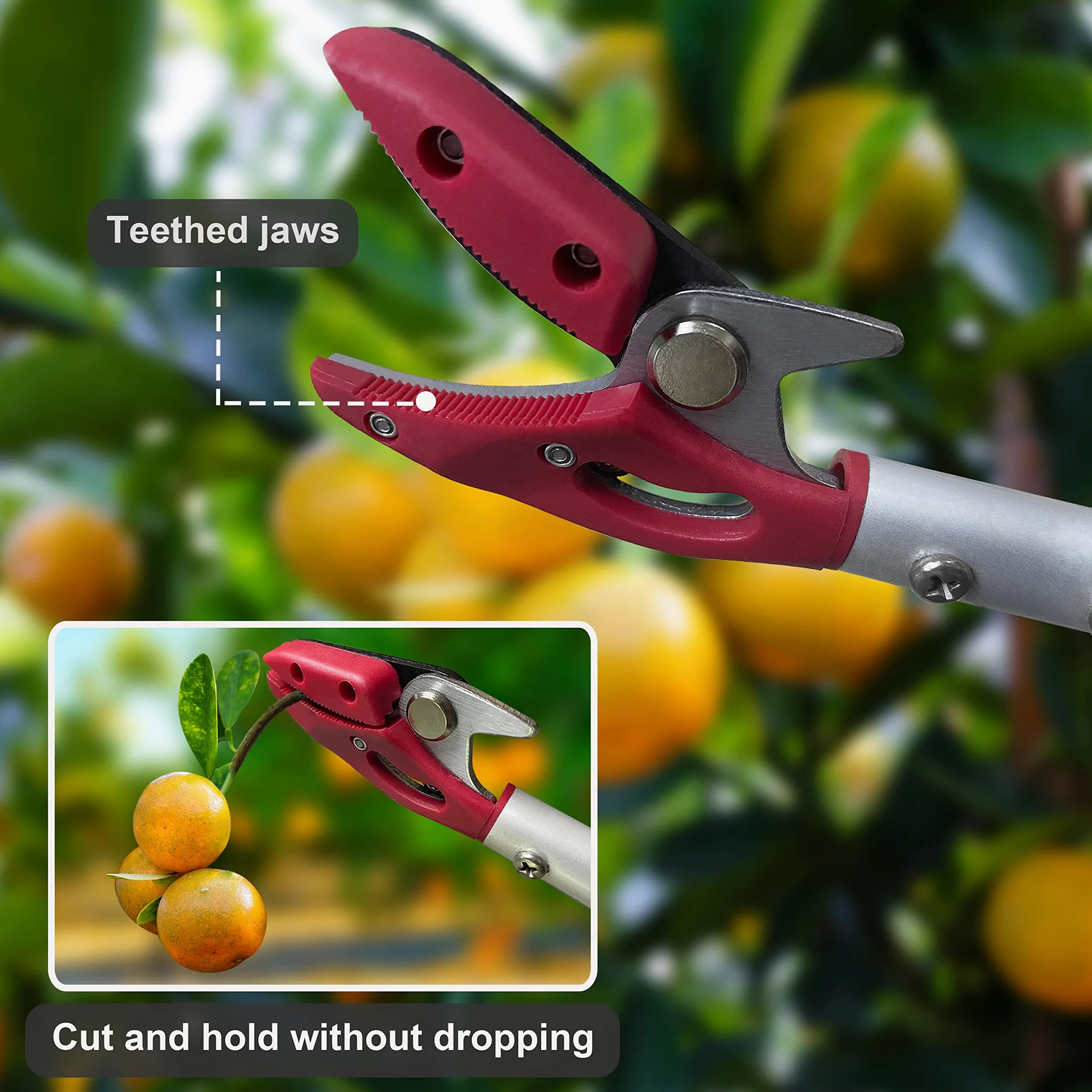 Tree Trimmer, 4 Foot Pole Pruner, Long Reach Pruning Shears, Cut and Hold Garden Clippers, Aluminum Lightweight Handle Fruit Picker, Branch Bypass Loppers