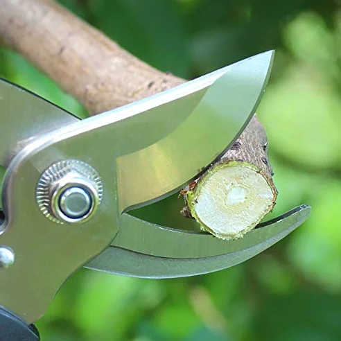 Tijeras de podar Profesionales, Tijeras de podar, Tijeras de trinquete para árboles, Cortador de injerto, podadora de jardín, Herramientas para bonsái, podadora Manual, Tijeras de podar (A 1