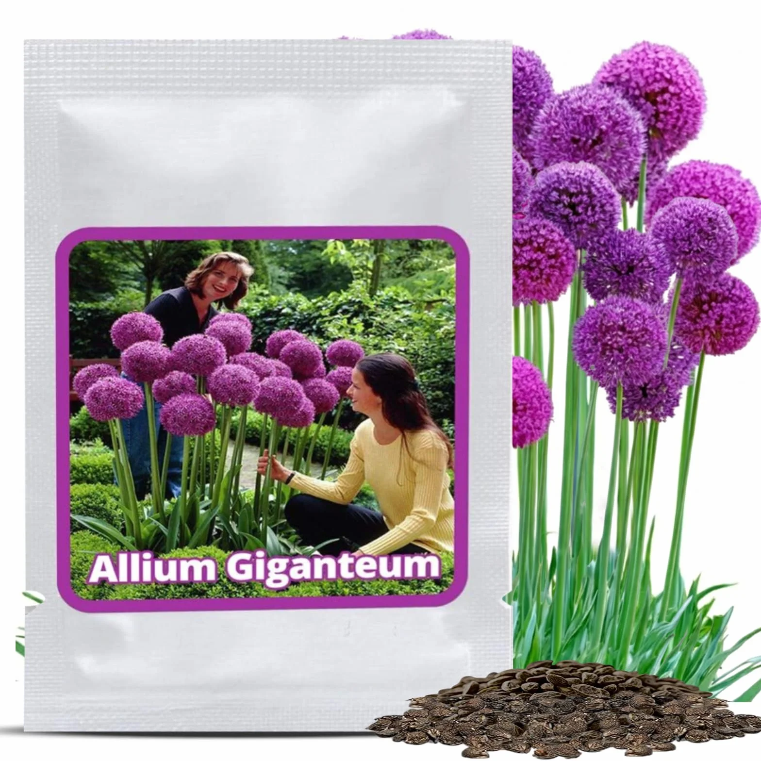 Magic of Nature Semillas de Allium Gigante (30 uds) Allium giganteum, Resistente y Perenne - Flores Violetas hasta 150cm para tu Jardín