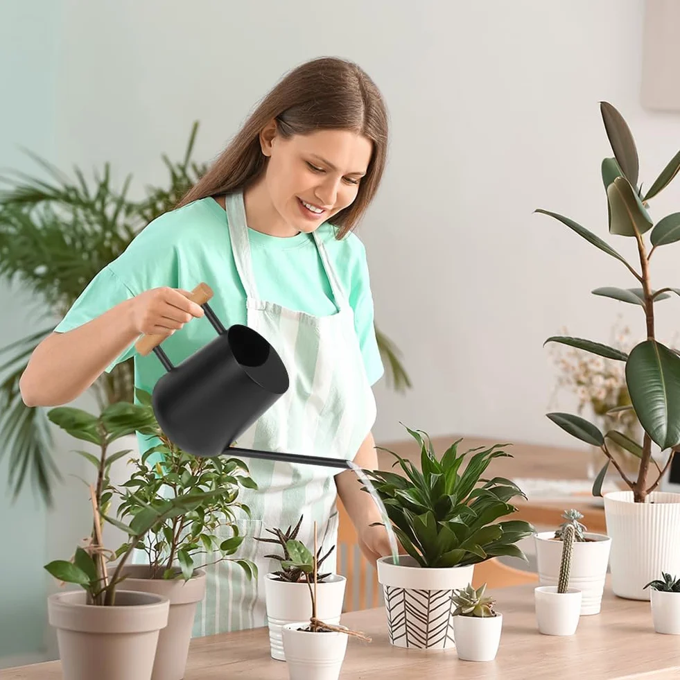 OFFCUP 35oz 1L Regadera Pequeña, Regadera de Acero Inoxidable para Jardín, Regadera con Caño Largo y Cómodo Mango de Madera, Regadera para Plantas, para Vivienda Exteriores Interior (Negro)