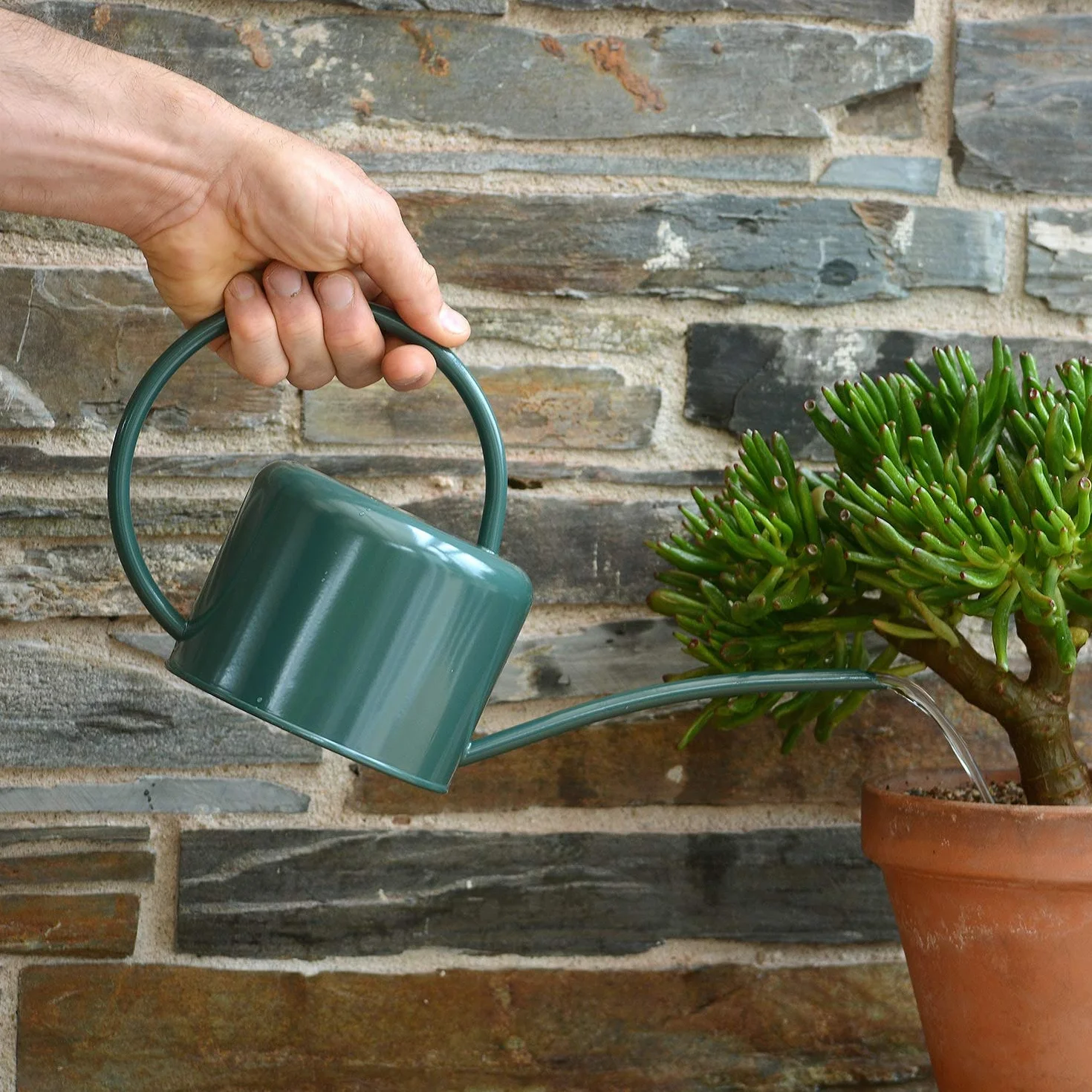 CKB Ltd® Regadera de interior pequeña de 1,1 L, acero galvanizado con recubrimiento en polvo de color verde oscuro, para plantas de interior, diseño contemporáneo de metal con boquilla estrecha y