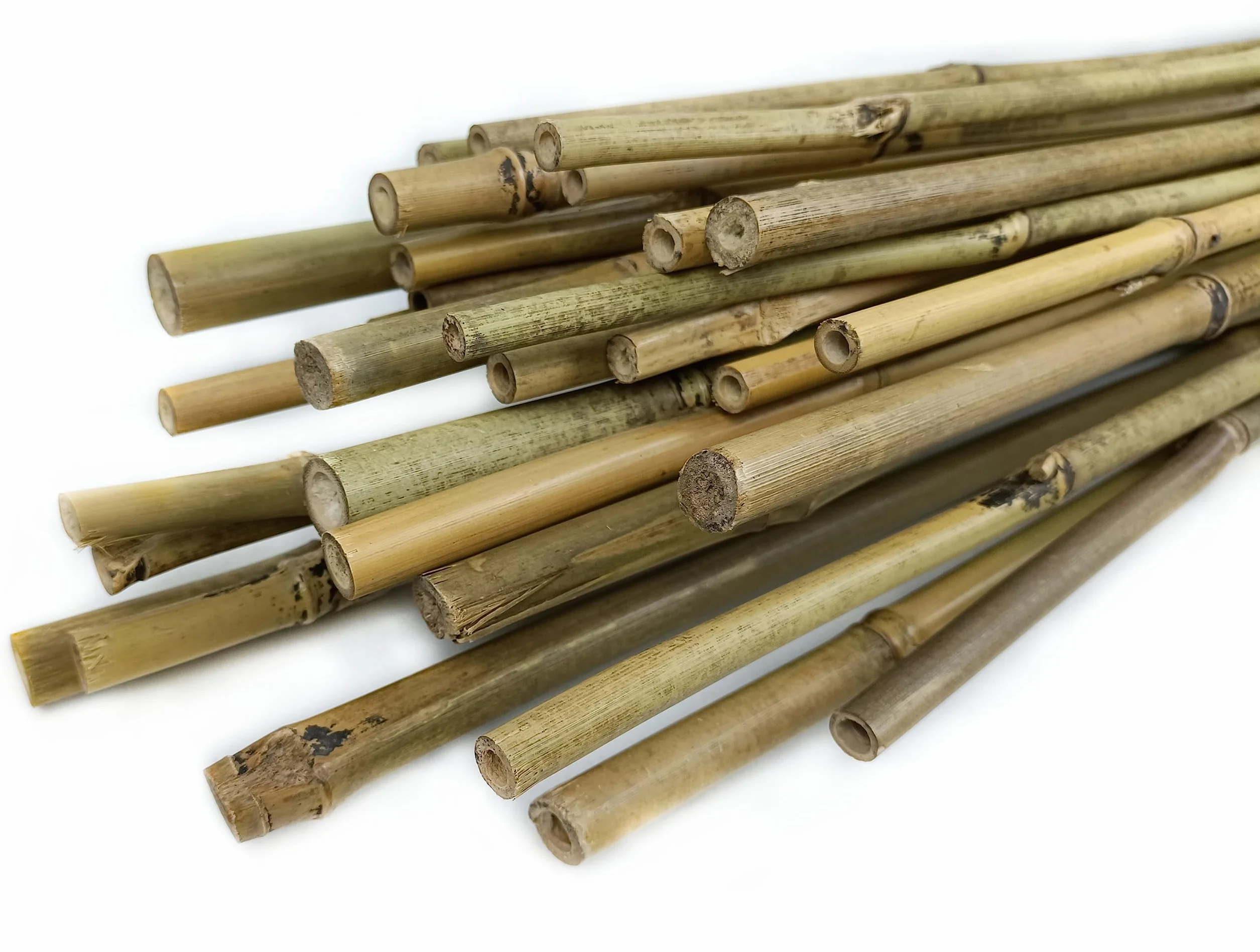 CULTIVERS 30 Tutores para Plantas de Caña Bambú 180 cm (Ø14/16 mm). Tutor para Tomates, huerto, árboles y Todo Tipo de Plantas. Varillas para Plantas. Bambú Natural