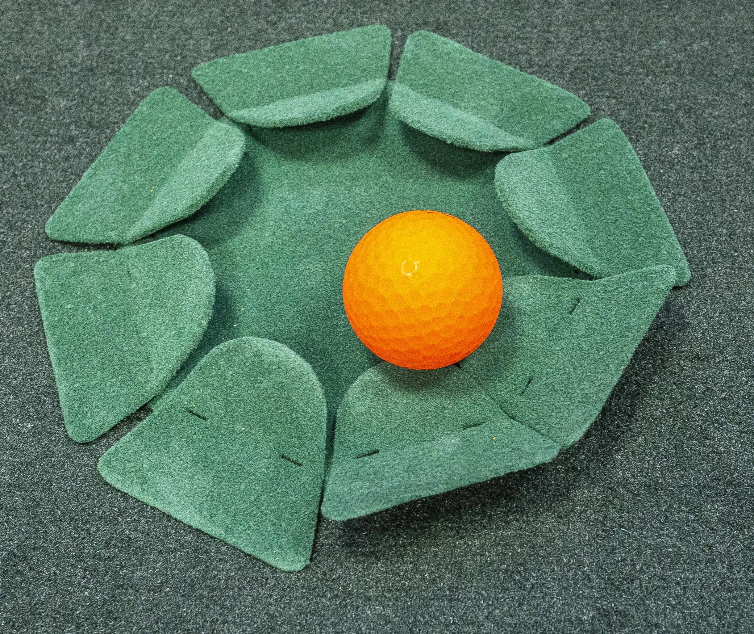 Longridge Accesorio para putting