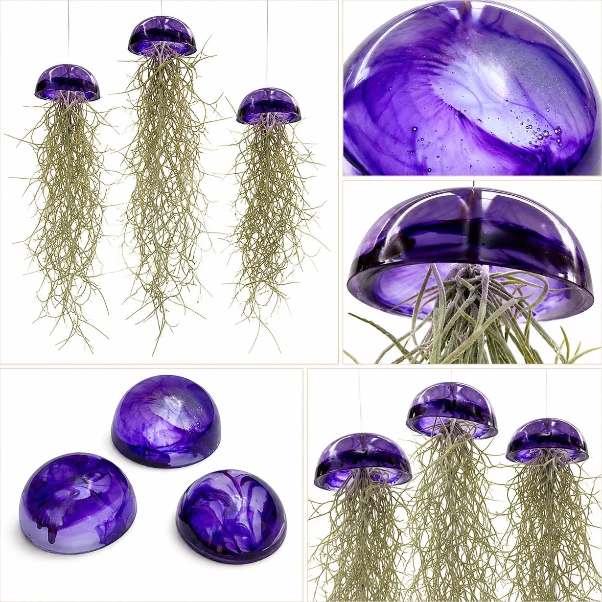 Juego de tres plantas de aire de medusas de cristal púrpura epoxi tillandsia plantas aéreas.