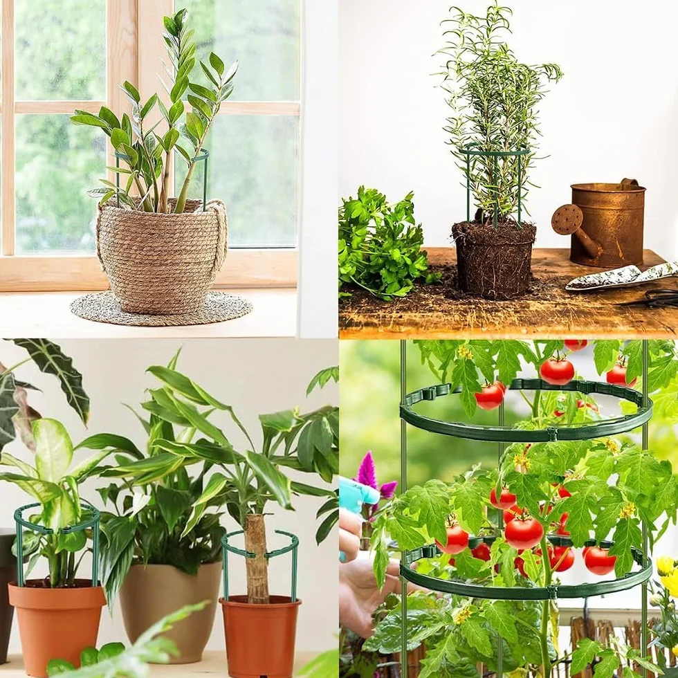 Tutores para Plantas,141 Piezas Soporte para Plantas trepadoras Exterior,Tomaten Rankhilferetirable Tutor Tomate,Enrejado Tomate,para Verduras Plantas Flores Enredadera Pflanzen Tomaten Rankhilfe