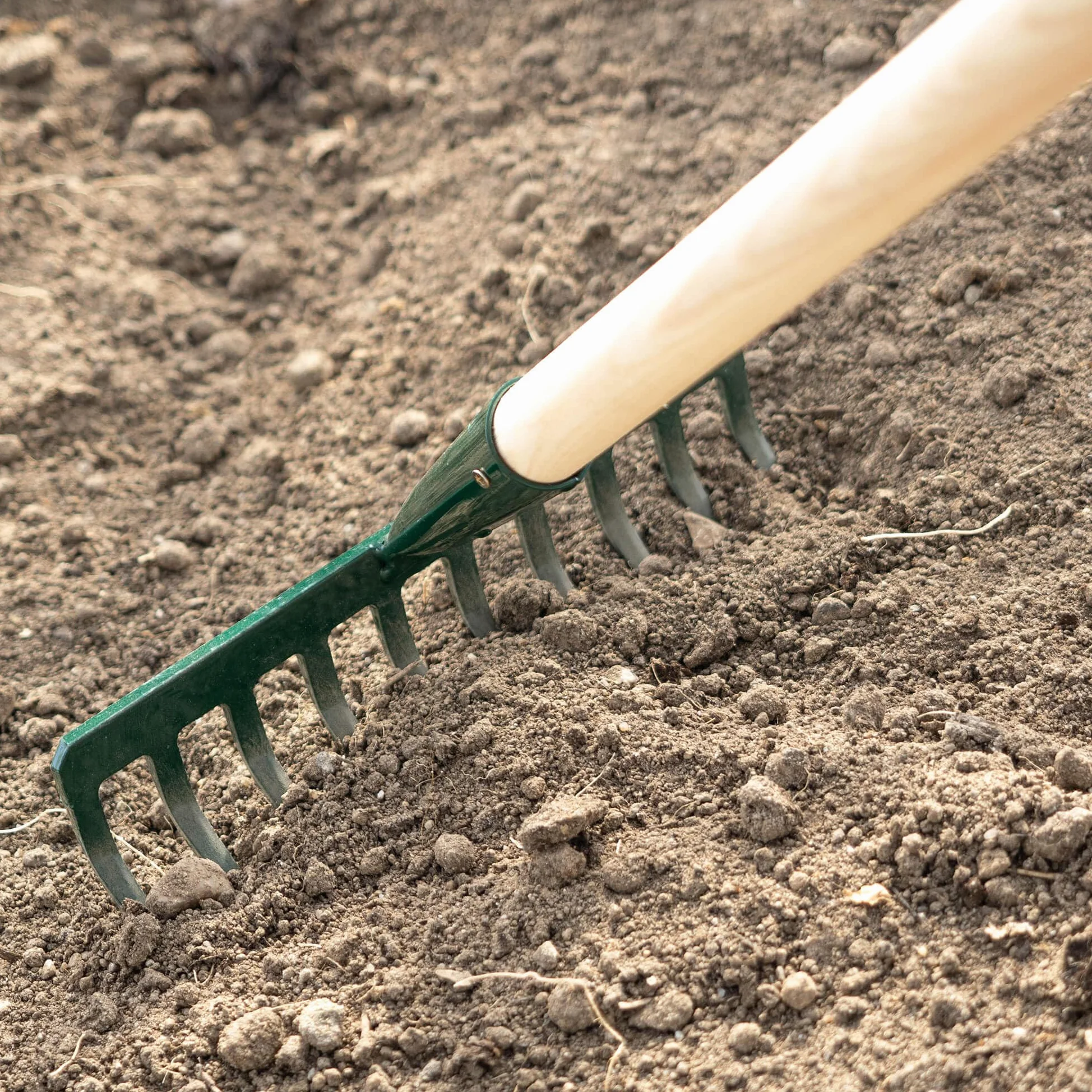 KADAX Rastrillo de metal, rastrillo plano con mango de madera, escoba para jardín, bancal, rastrillo de hojas, rastrillo de césped, verde, herramienta de jardín, rastrillo de heno, herramienta de