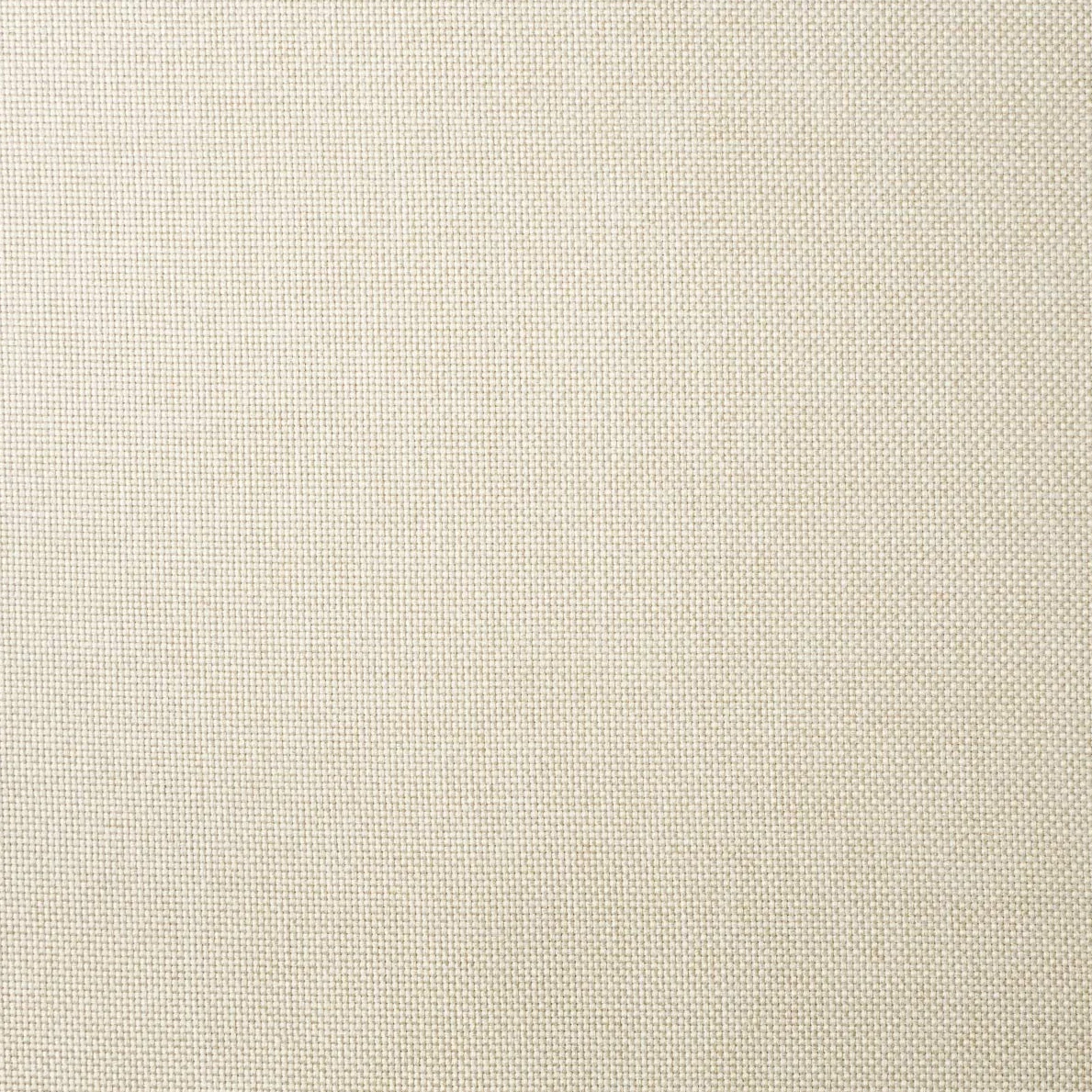chilly pilley® Cojines para Muebles De Ratán, Cojines De Jardín, Respaldos, Muchos Tamaños Y Muchos Colores 50x40, Crema