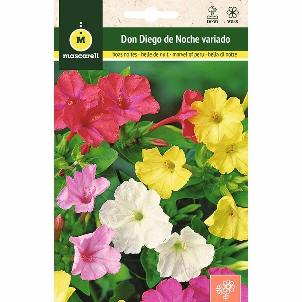 Mascarell Semillas, DON DIEGO DE NOCHE VARIADO, Semillas Flores Exterior para Decoración, 4 Gramos