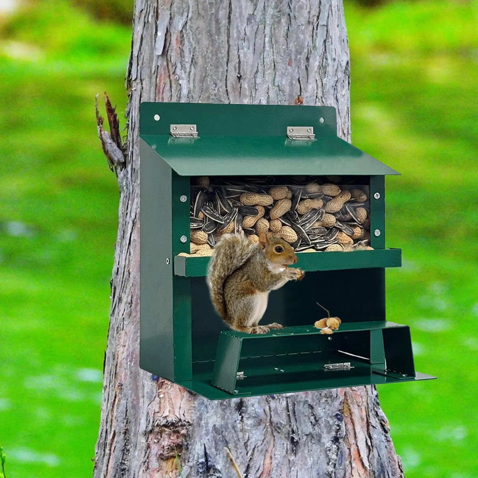 Casita para Ardillas | Casa para Ardillas A Prueba de Invierno,Suministro De Comida Invierno Observación Naturaleza Alimentación Fauna Decoración Jardín Aves Parques Amantes Animales