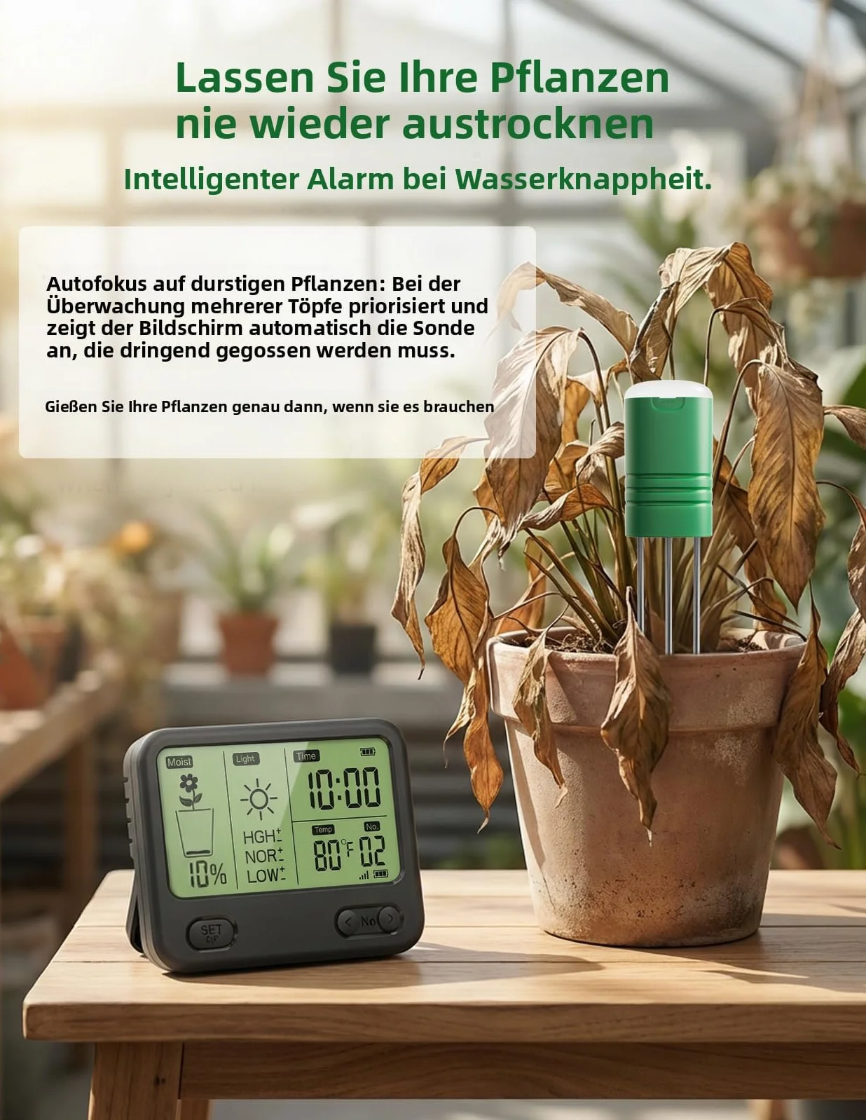 Medidor de Humedad inalámbrico para Suelo con Receptor LCD, Sensor 3 en 1 de 3 sondas (Humedad, Temperatura, luz), Alcance de RF de 230 pies, Impermeable, Larga duración (Suelo 2 sensores)