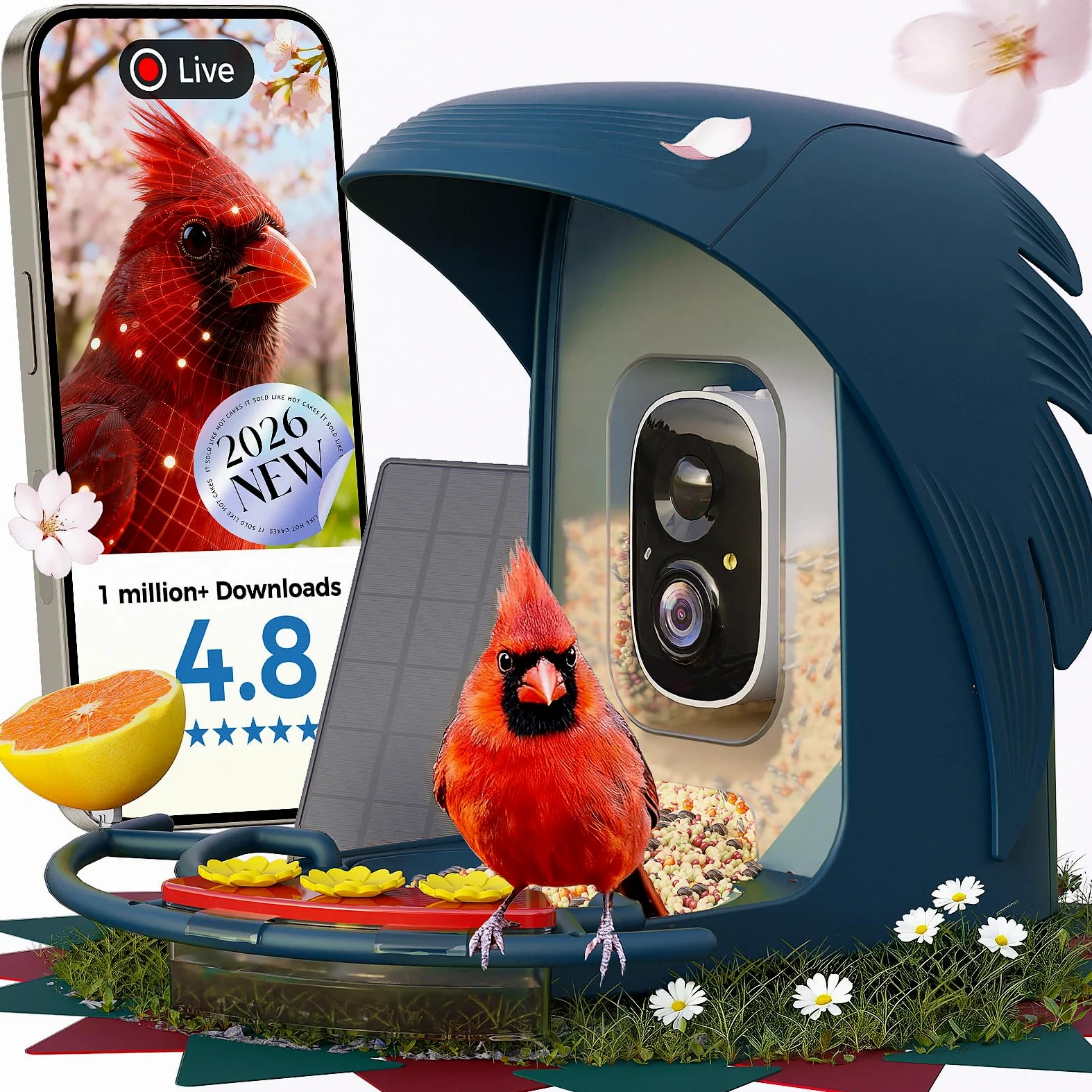 Comedero inteligente para pájaros con cámara, cámara de observación de aves alimentada por energía solar para exteriores, detección de movimiento de captura automática 2K HD con identificación