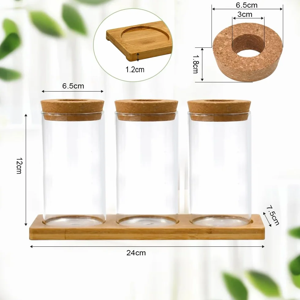 Estación de Propagación de Plantas Jarrón Hidropónico Cristal Jarrón Cultivo Hidropónico Bandeja Vidrio para Cultivo Hidropónicas 3 Jarronita300ml Cristal Decorativas para Esquejes de Plantas