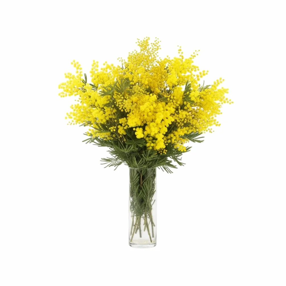 Bouquet Floral de Mimosa Natural para Ambientes Naturales | DECOALIVE