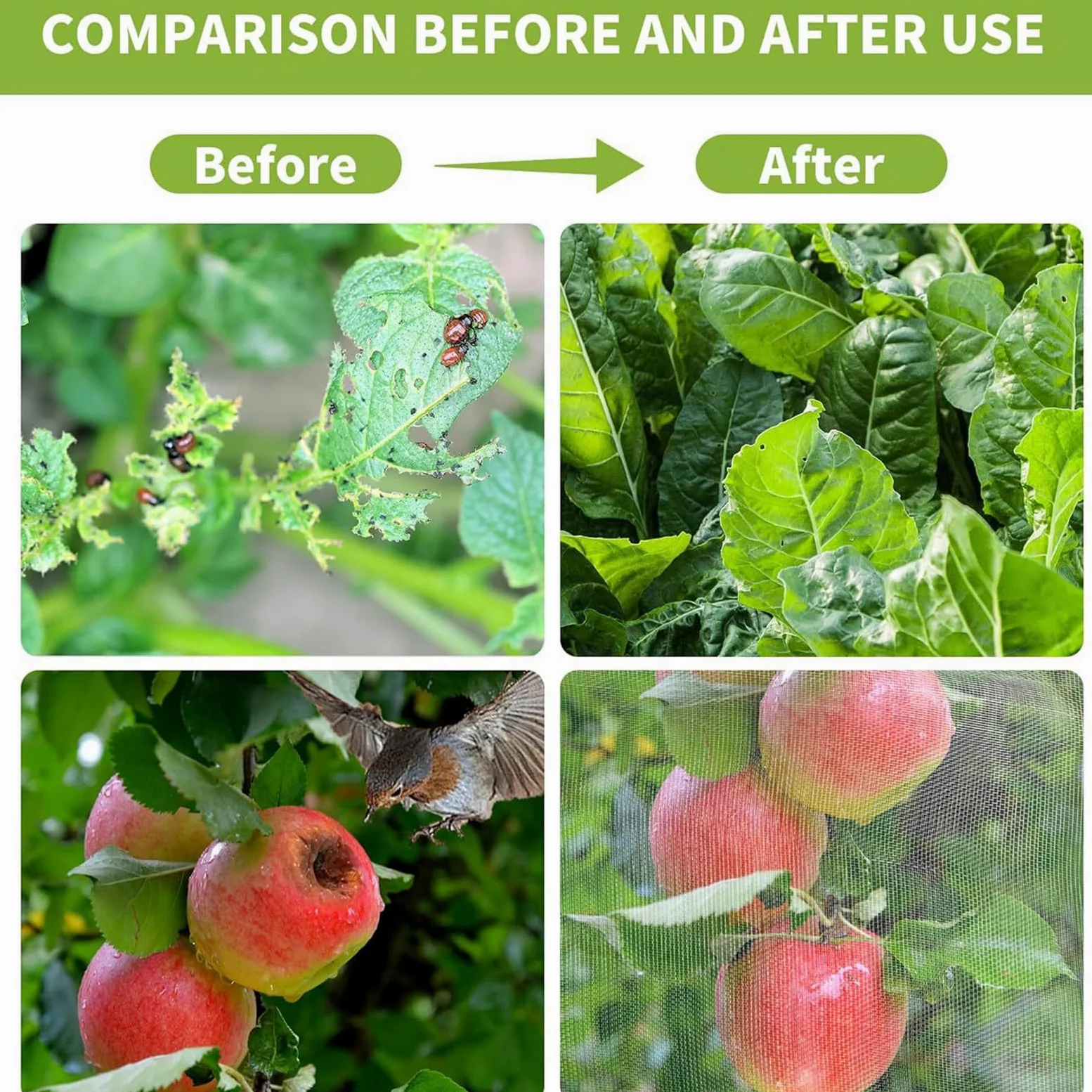 Red antipájaros y ct para plantas con cremallera y cordón, malla 60 (1 mm), protección transpirable contra insectos asiáticos, pájaros y pulgones - Saco de cubierta para árboles frutales