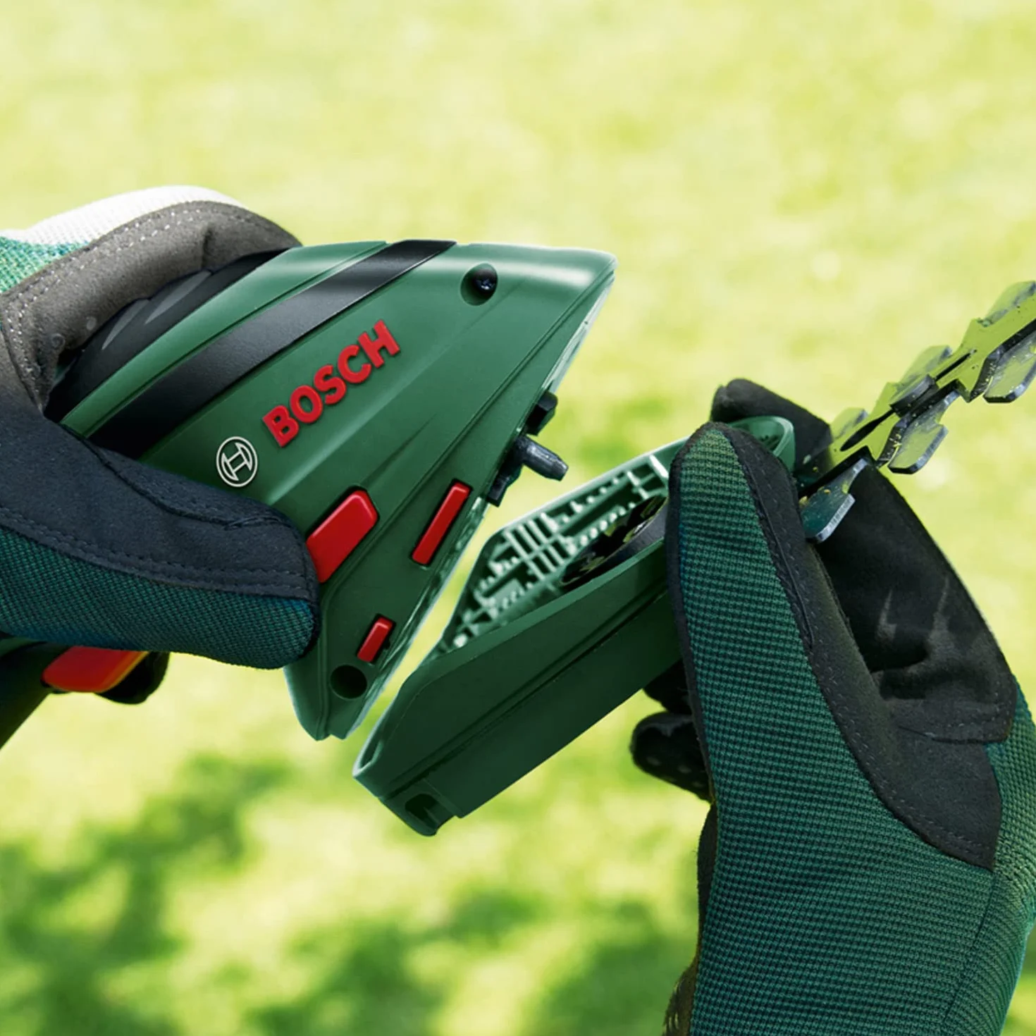 Bosch Set de Tijeras cortacésped a batería Isio | 3,6 V, longitud de cuchilla 12 cm, distancia entre cuchillas 8 mm, guantes de jardinería XL incluidos - Amazon Exclusive
