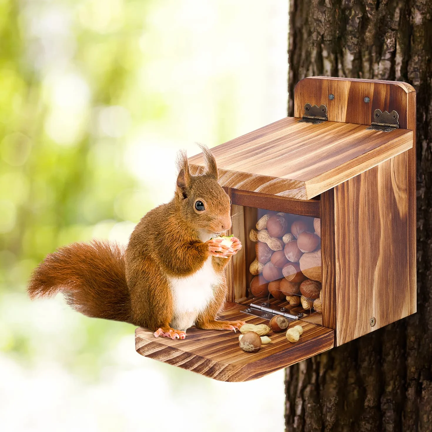 MIXXIDEA Caja de alimentación de ardillas de madera, resistente casa de alimentación de ardillas con grosor de madera de 1,5 cm, no requiere montaje, para patio trasero y jardín exterior (1 unidad)