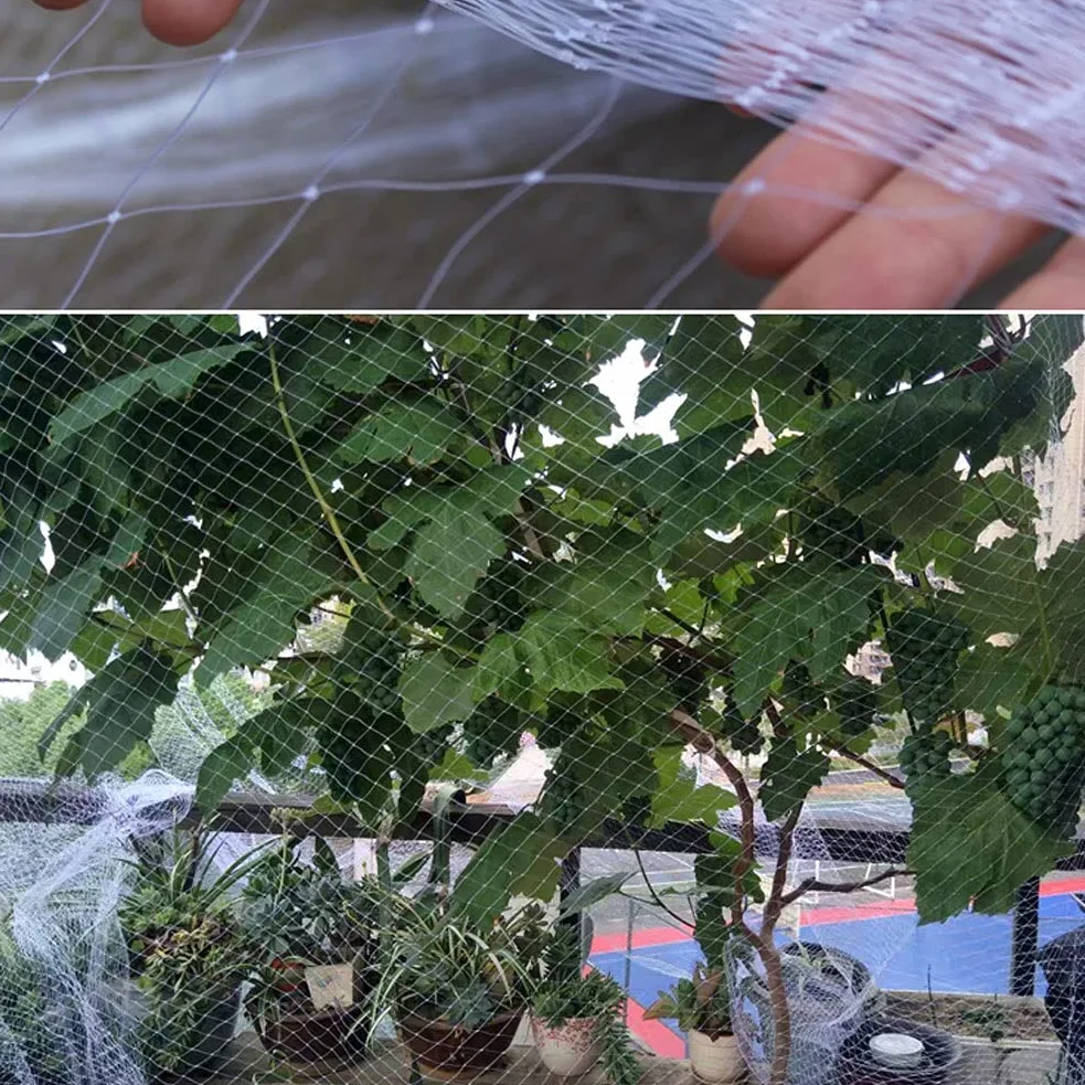 Red de jardín para pájaros para árboles frutales y arbustos, red para balcón, palomas, red anti pájaros para plantas, malla translúcida (2,5 cm x 3 m x 5 m)