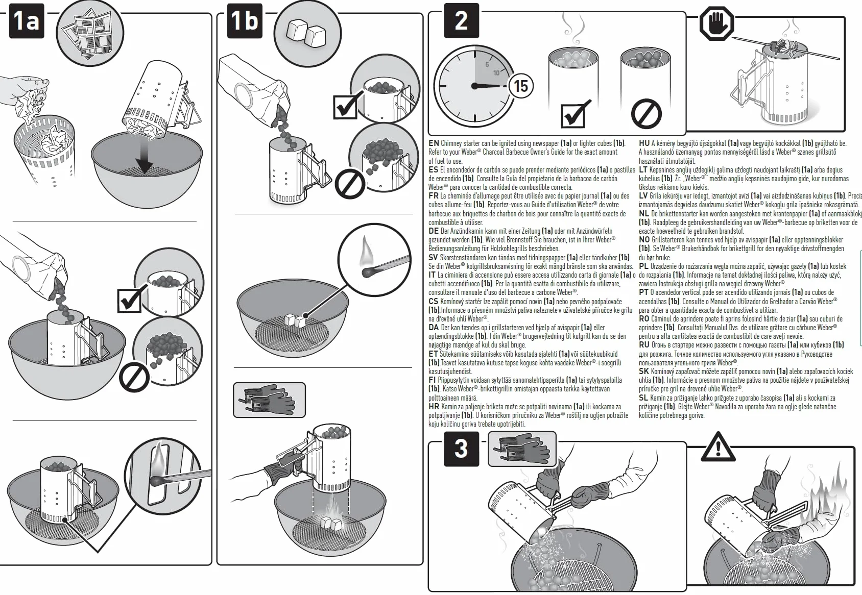 Weber 17631 - Set Chimenea 2 kg de Briquetas + 6 Pastillas de Encendido Blancas, Acero Inoxidable