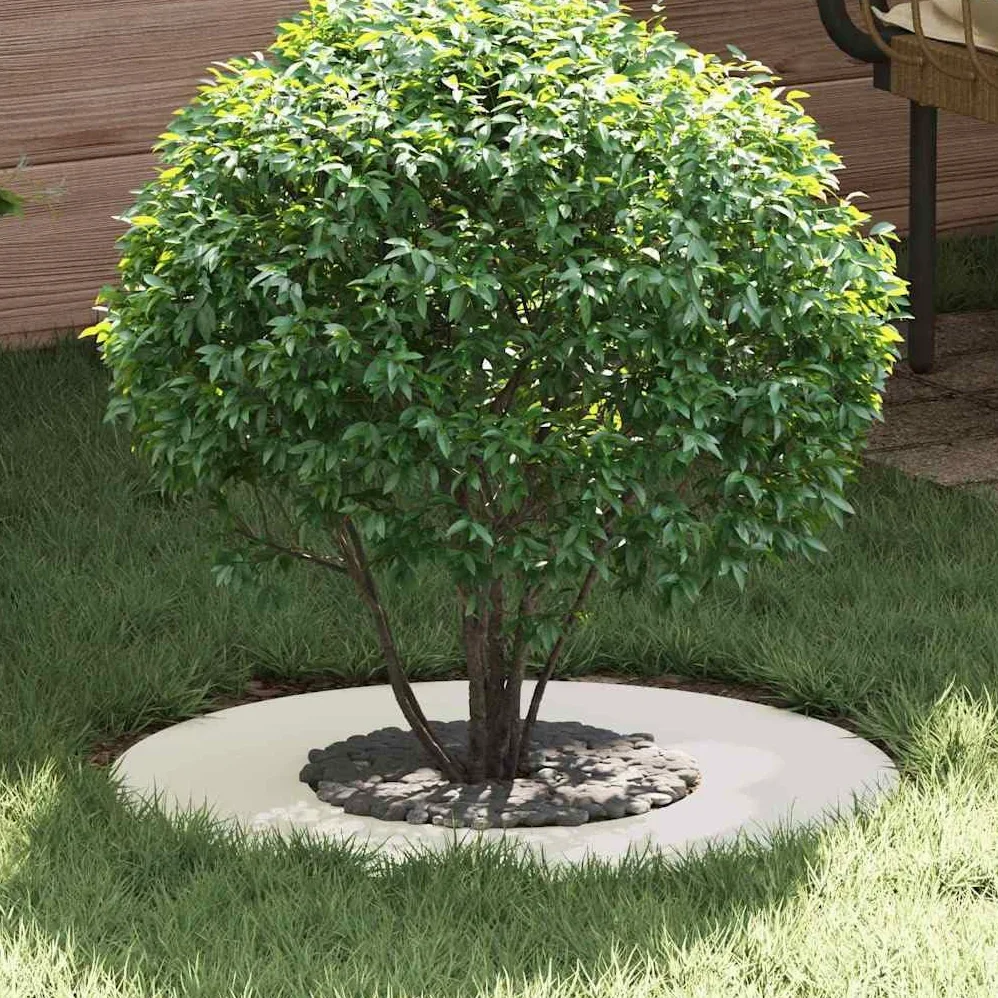 Hothingwell Anillos de Arbol Plano 5 uds 30/60 cm Acero | Decorativo exterior, protege raices, facil montaje, resistente clima, diseño moderno