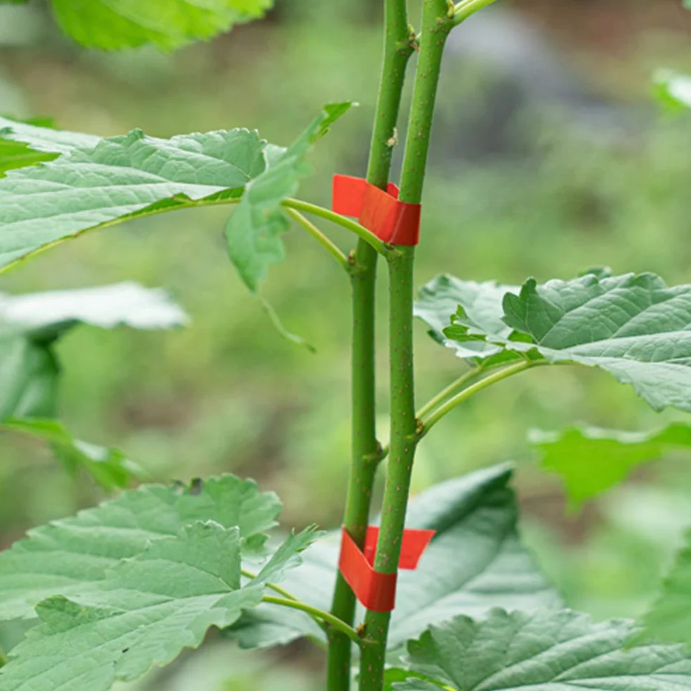 Maquina para Atar Plantas, Herramienta de Cinta de Jardín para Atar Ramas de Plantas, Atadora Agricola para Atadora de Tomates, para Viñedo Pepino UVA Fruta Flores Vegetales,Jardín Tape Tool.