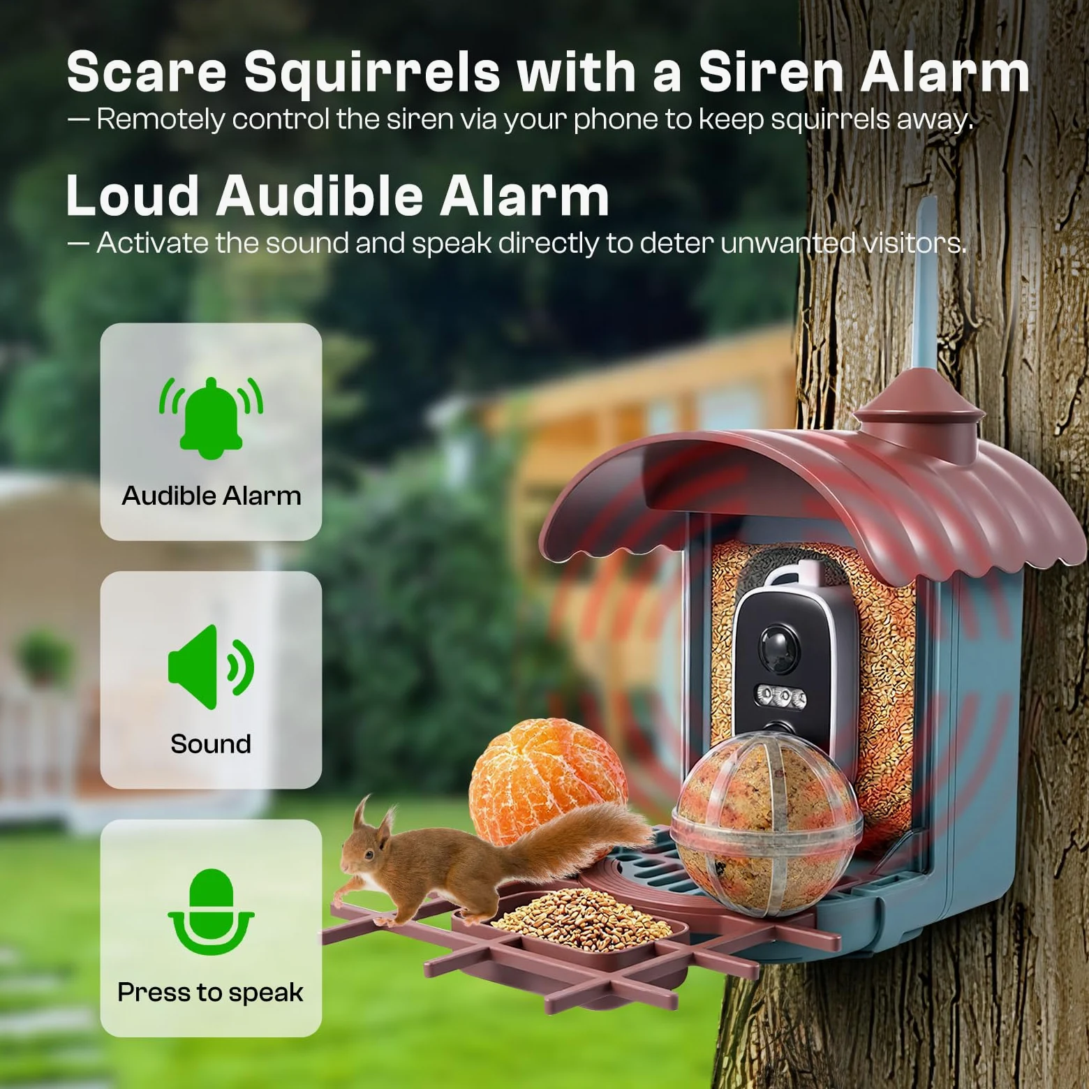 Pajarera con cámara de 4 MP, comedero solar para pájaros y comedero: vídeo/toma de fotos, identificación de IA, detección de movimiento, notificación instantánea, visión nocturna, WiFi de 2,4 GHz