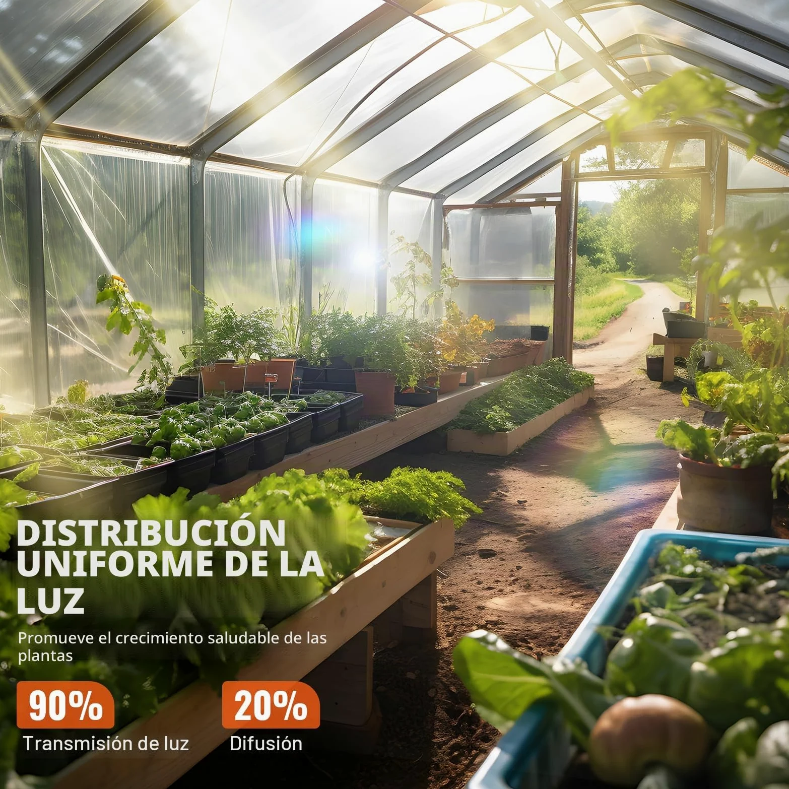 VEVOR Cubierta de Invernadero Cubierta de Plástico Transparente para Invernadero 7,6x7,6 m​ Espesor de Película de Polietileno 6 mils Resistente a los Rayos UV Protección para Jardinería, Agricultura