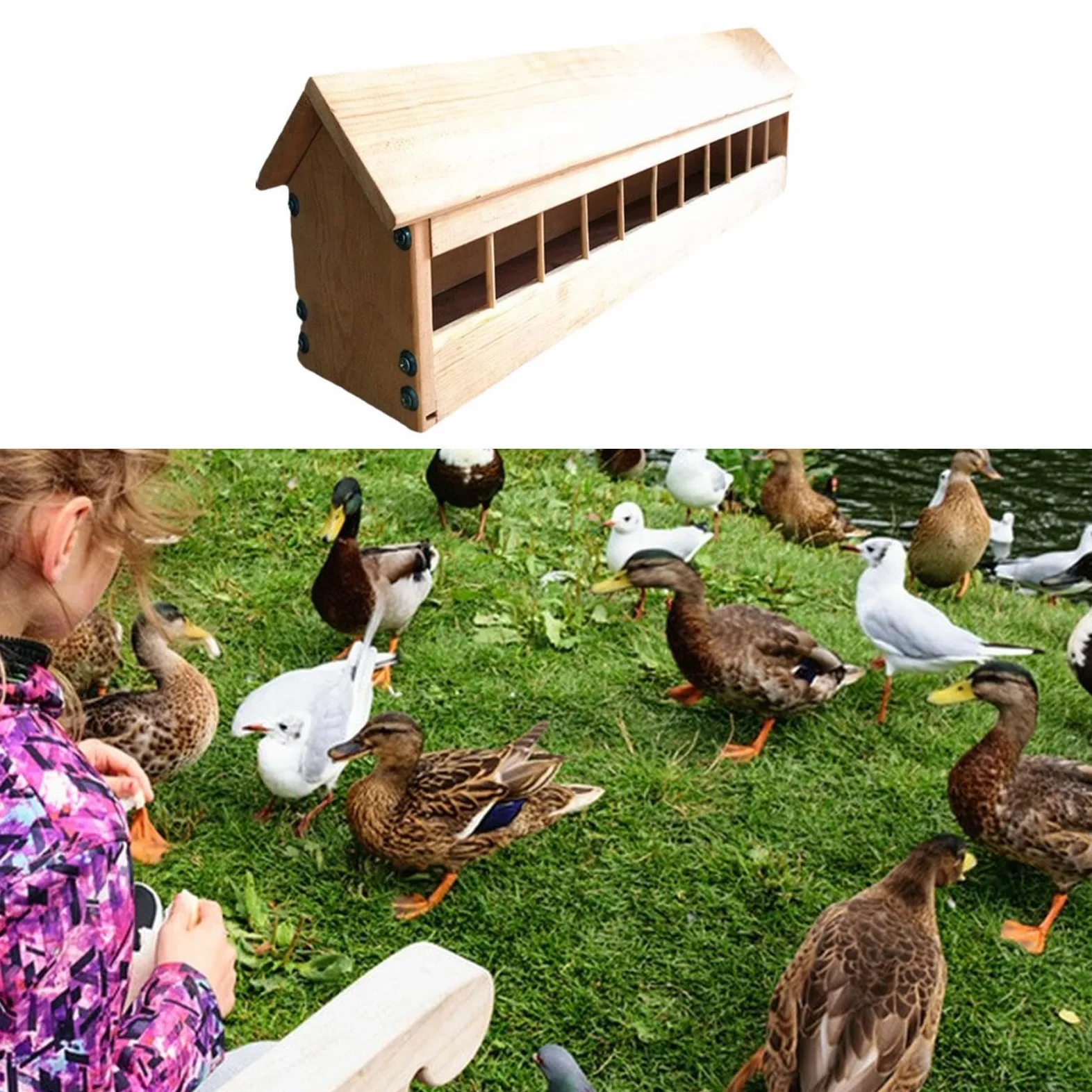 Comedero para Palomas, Comedero, Dispensador de Comida para Pájaros, Menos Desperdicio, Suministros para Aves