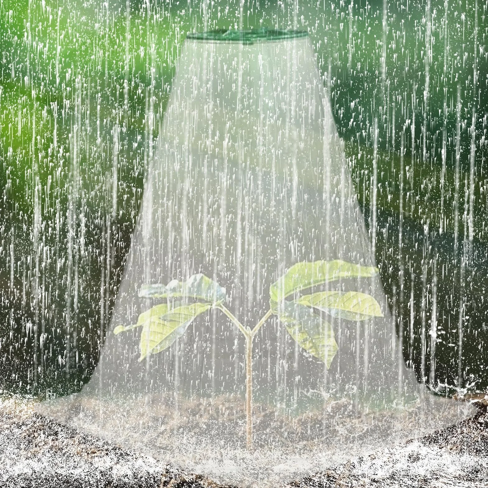 Garden Cloche Dome, Transparent Plant Cover, Small Greenhouse Dome, Outdoor Plant Cover, Antifreeze Plant Protector, Frost Protection Cover, Garden Slug Shield, 16.8x17.8x19cm/6.61x7.01x7.48 inches