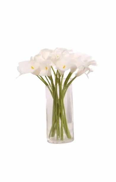 DECOALIVE | Ramo Cala Blanca | Bouquet 10 Flores | Calas Blancas Naturales y Frescas