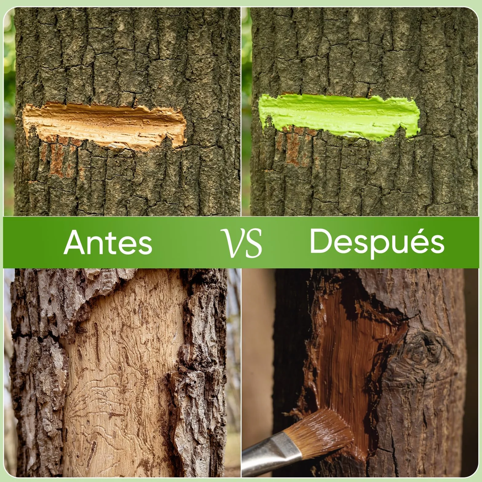 600g Pasta Cicatrizante Poda,Cera para Árboles Marrón,Impermeable y Resistente a la Intemperie Cicatrizante Arboles para Injertos y Rápida Cicatrización de Árboles Frutales y Plantas Ornamentales