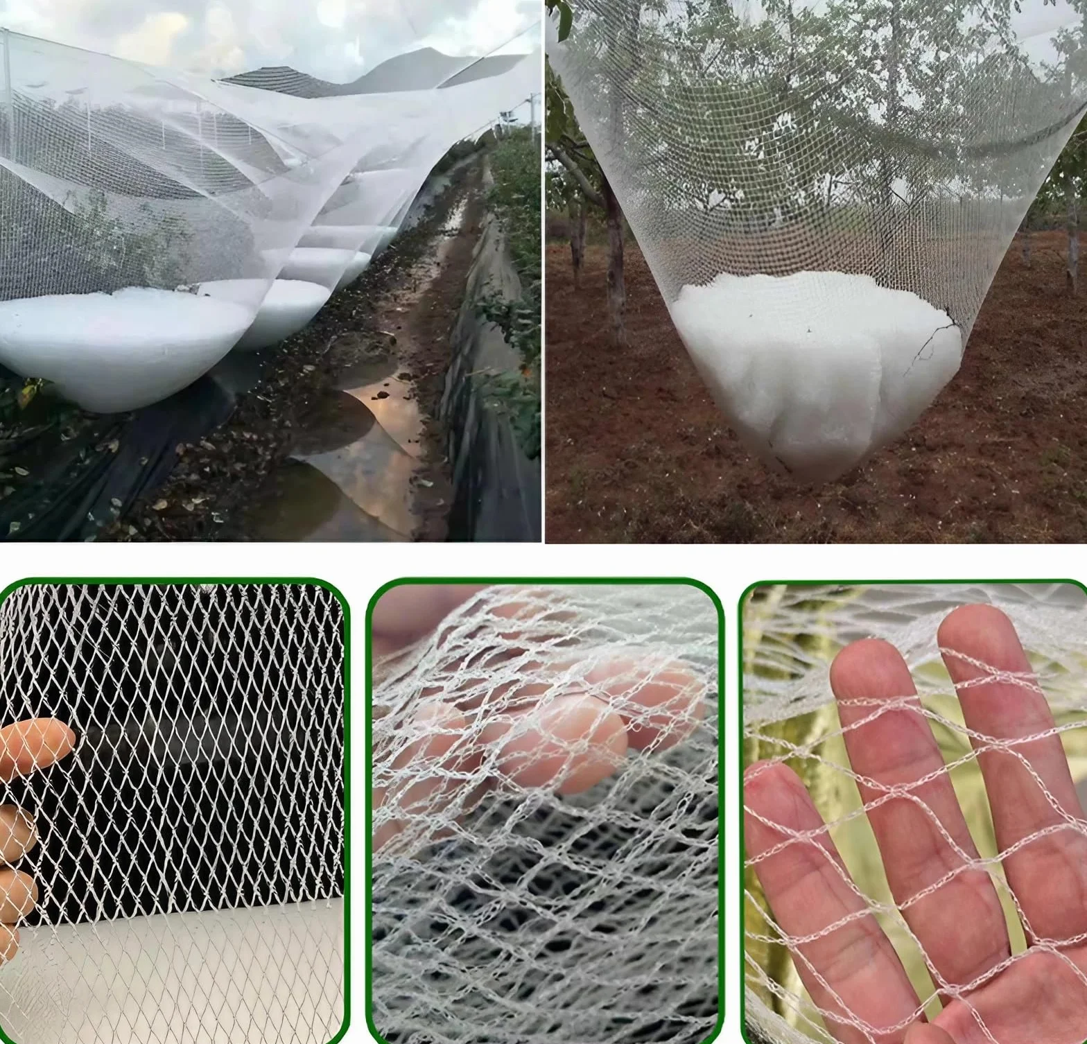 Malla antigranizo Resistente a los Rayos UV, Malla de 5 mm, protección contra Aves para Jardines, huertos y protección de Plantas, 3x10 m.