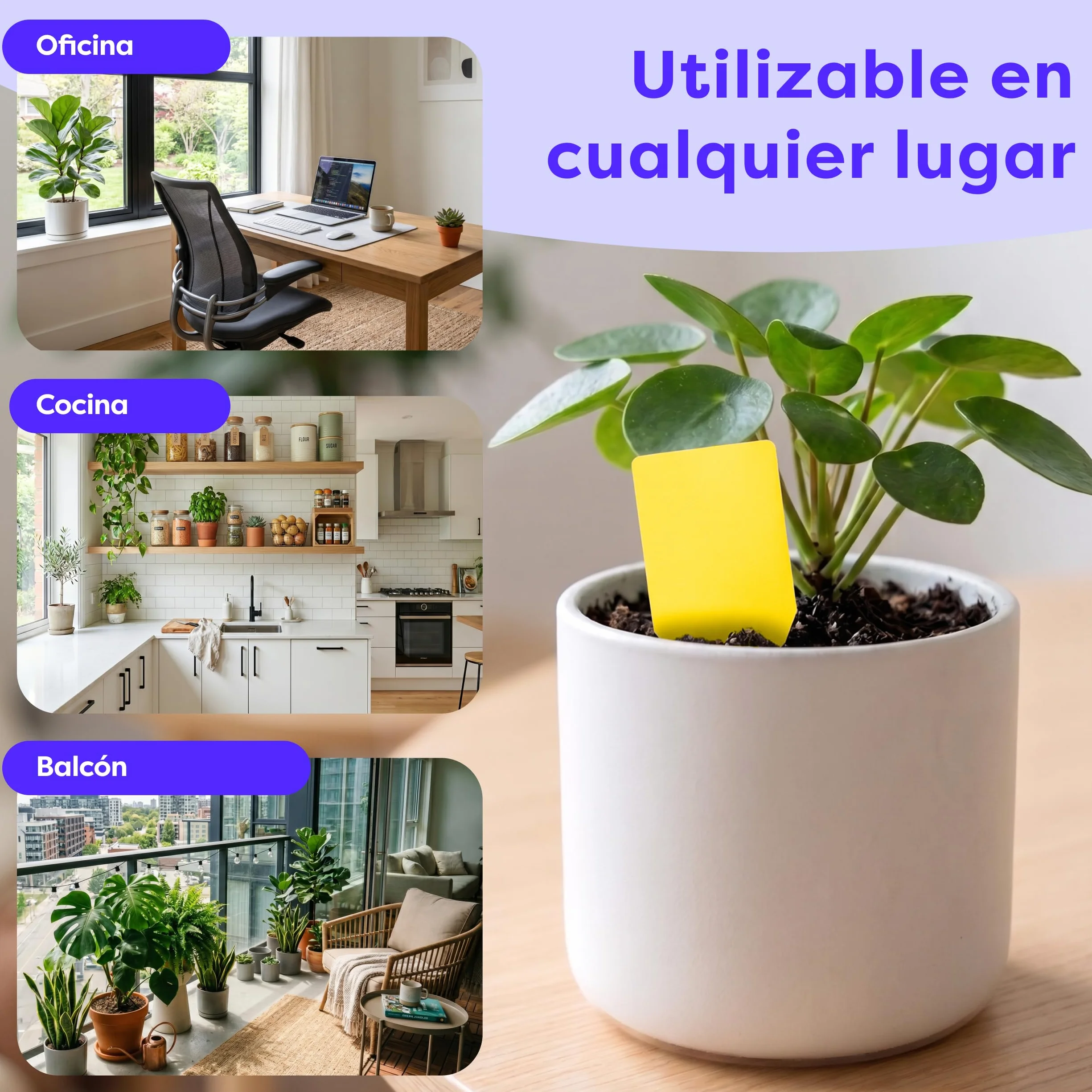 Wolkenfeld Trampa Moscas Plantas 60 Piezas Pegatinas – Trampas Amarillas para Insectos, Atrapa Mosquitos Adhesivo Doble Cara, Sin Insecticida – Interior, Macetas y Invernadero – Made in Germany