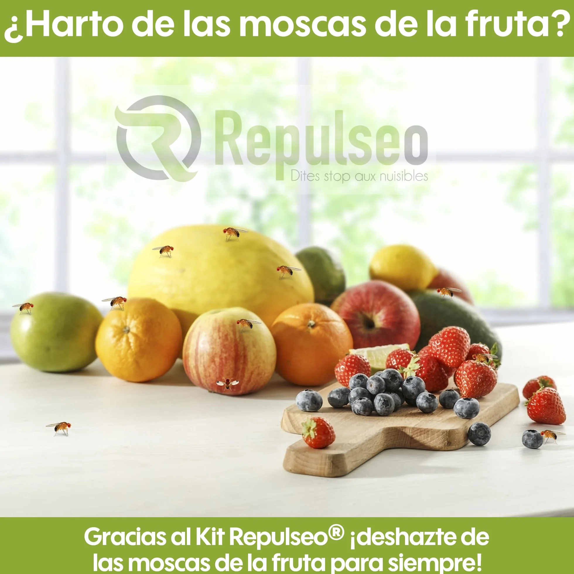 Trampa para Moscas de Fruta ✯Made IN UE✯, Antimosquitos Interior Cocina, Atrapa Mosquitos [Remedio Natural y sin Insecticida]