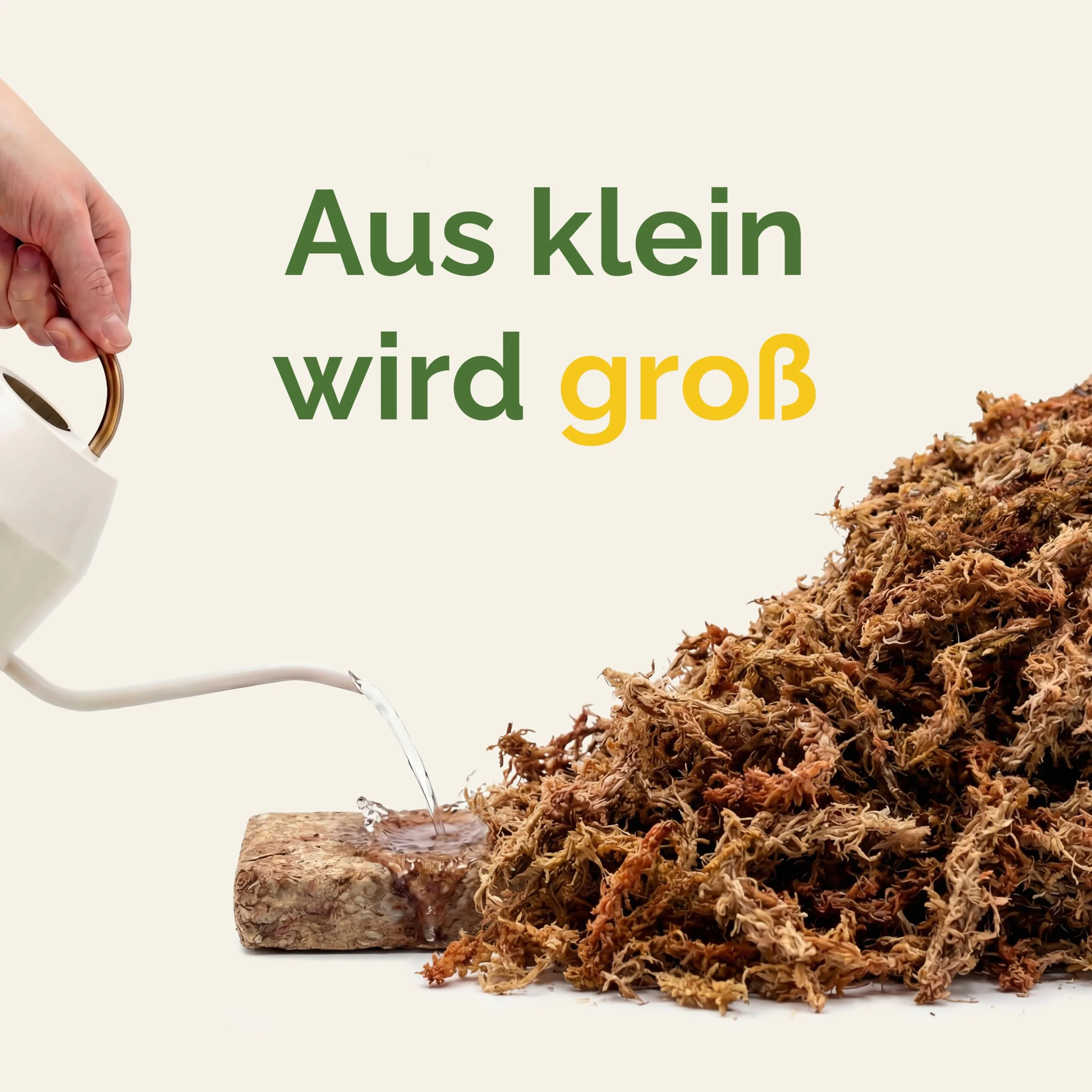 Sphagnum - Musgo para plantas de interior y enredaderas (1000 g)