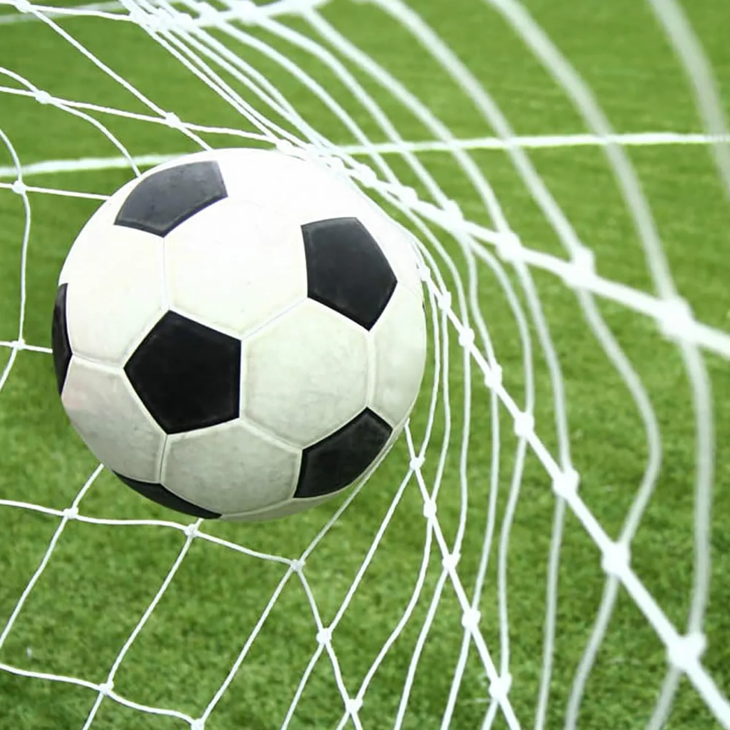 Red de Barrera para Fútbol, Malla de 10 cm, Red de Protección de Polietileno