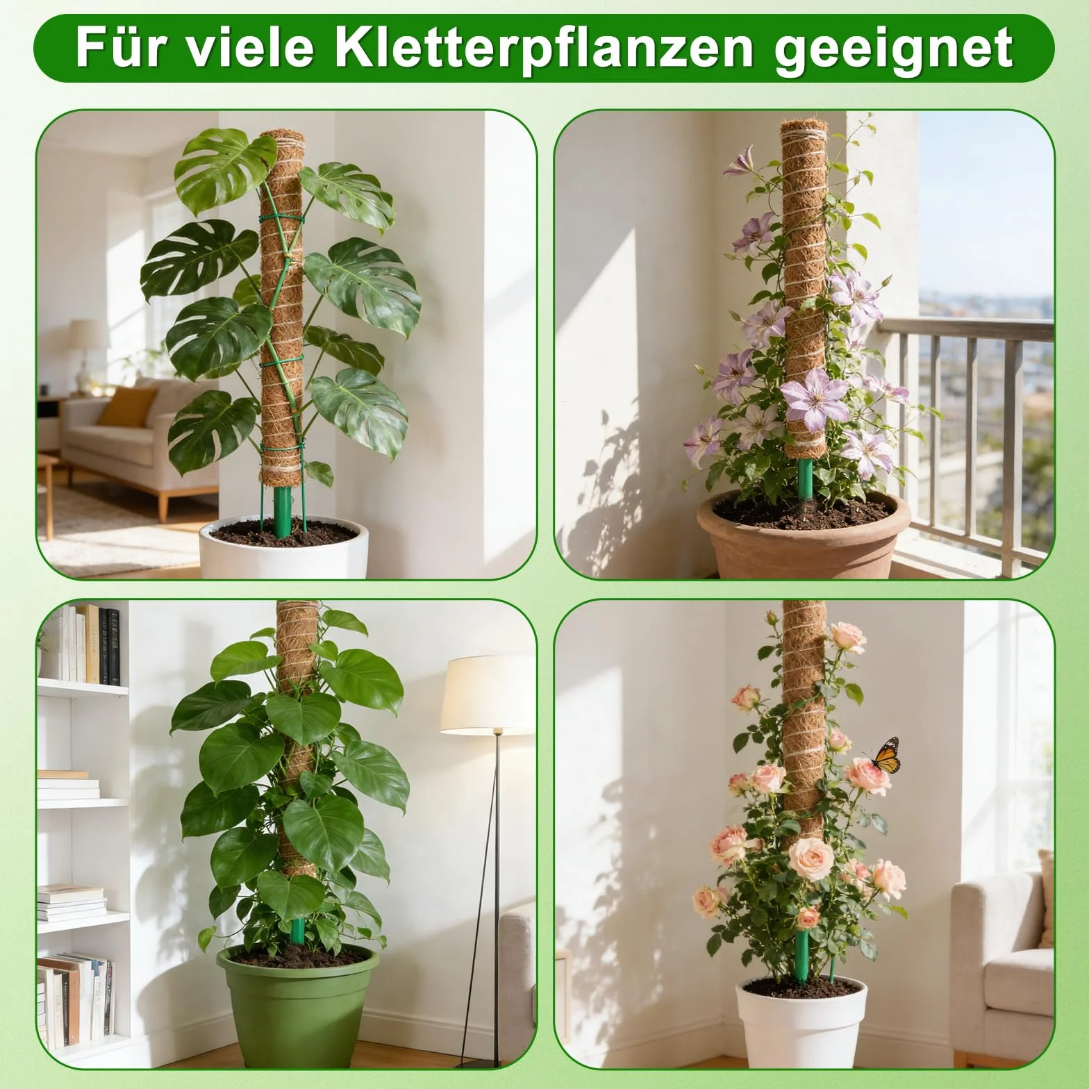 HOVIN Soporte trepador para Monstera de coco – 4 tutores extensibles de musgo, 40 cm – Para plantas trepadoras en interiores y jardines