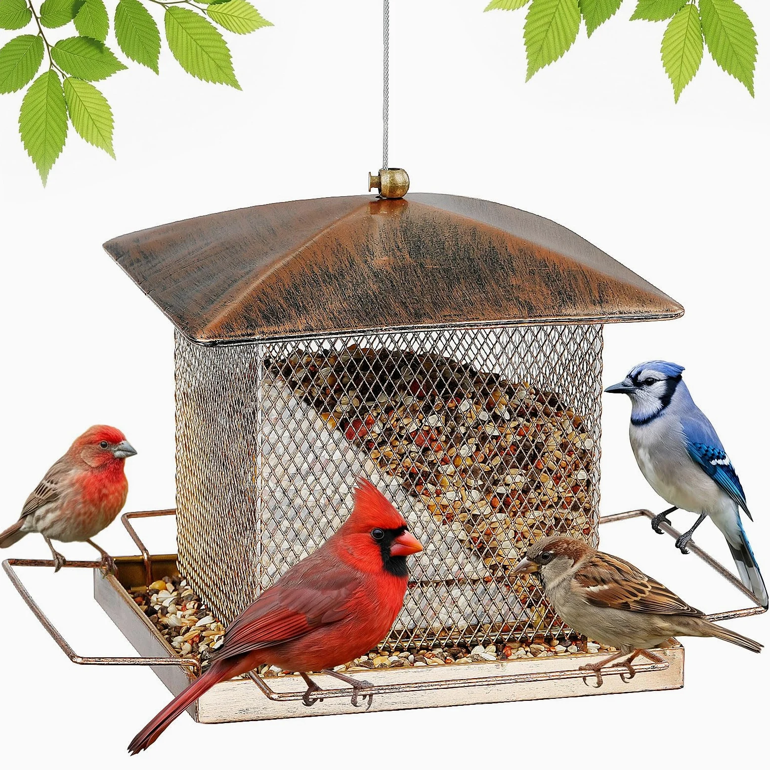 Comedero para pájaros, comedero de metal resistente para colgar al aire libre, comedero para pájaros silvestres con hebilla para jardín, patio exterior, patio, gran capacidad de 3.5 libras